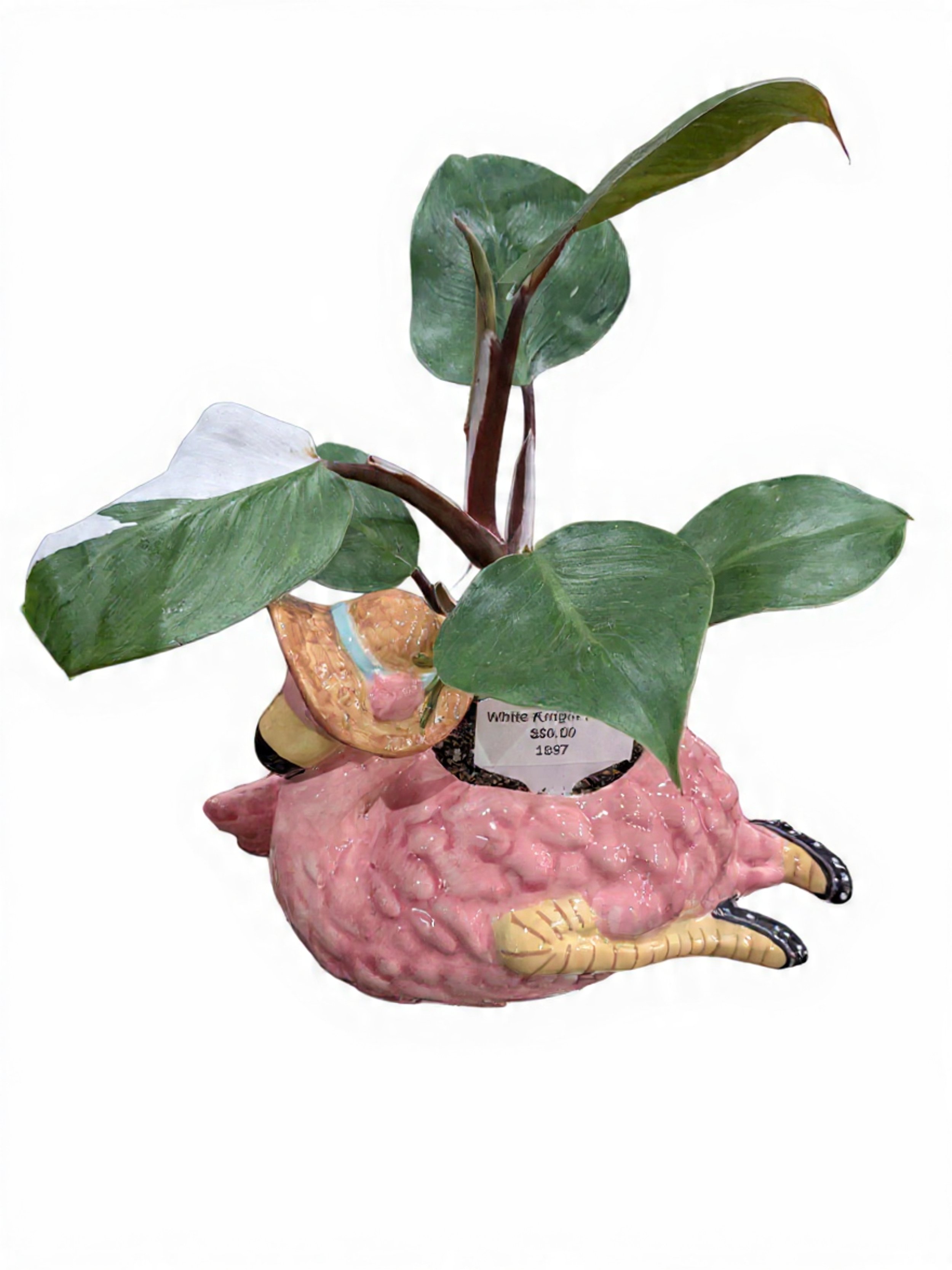 Colorful ceramic planter shaped like a rat with green leaves growing from its head.