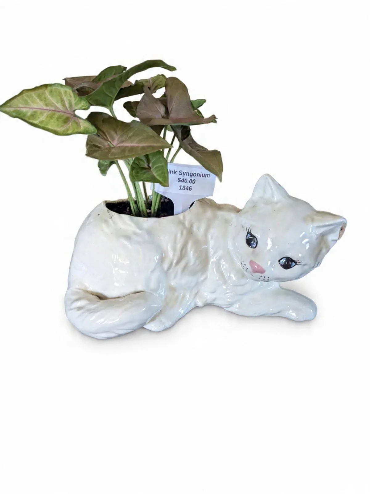 A ceramic cat-shaped planter with a potted pink syngonium plant growing out of its back.