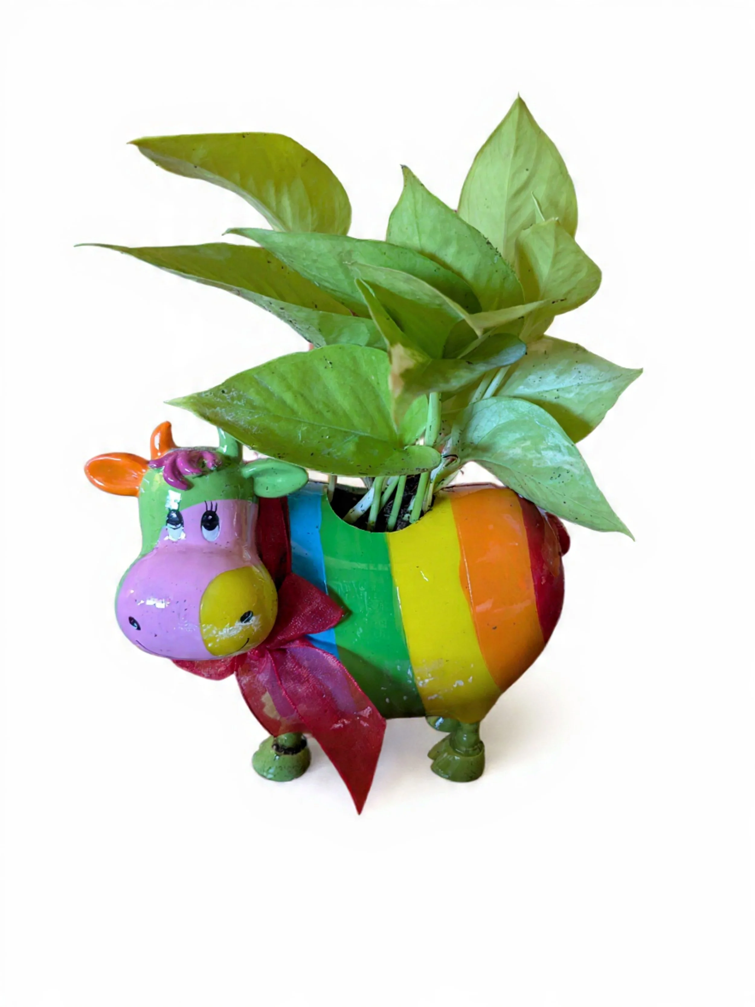 Colorful ceramic pig-shaped planter with green leafy plant inside.