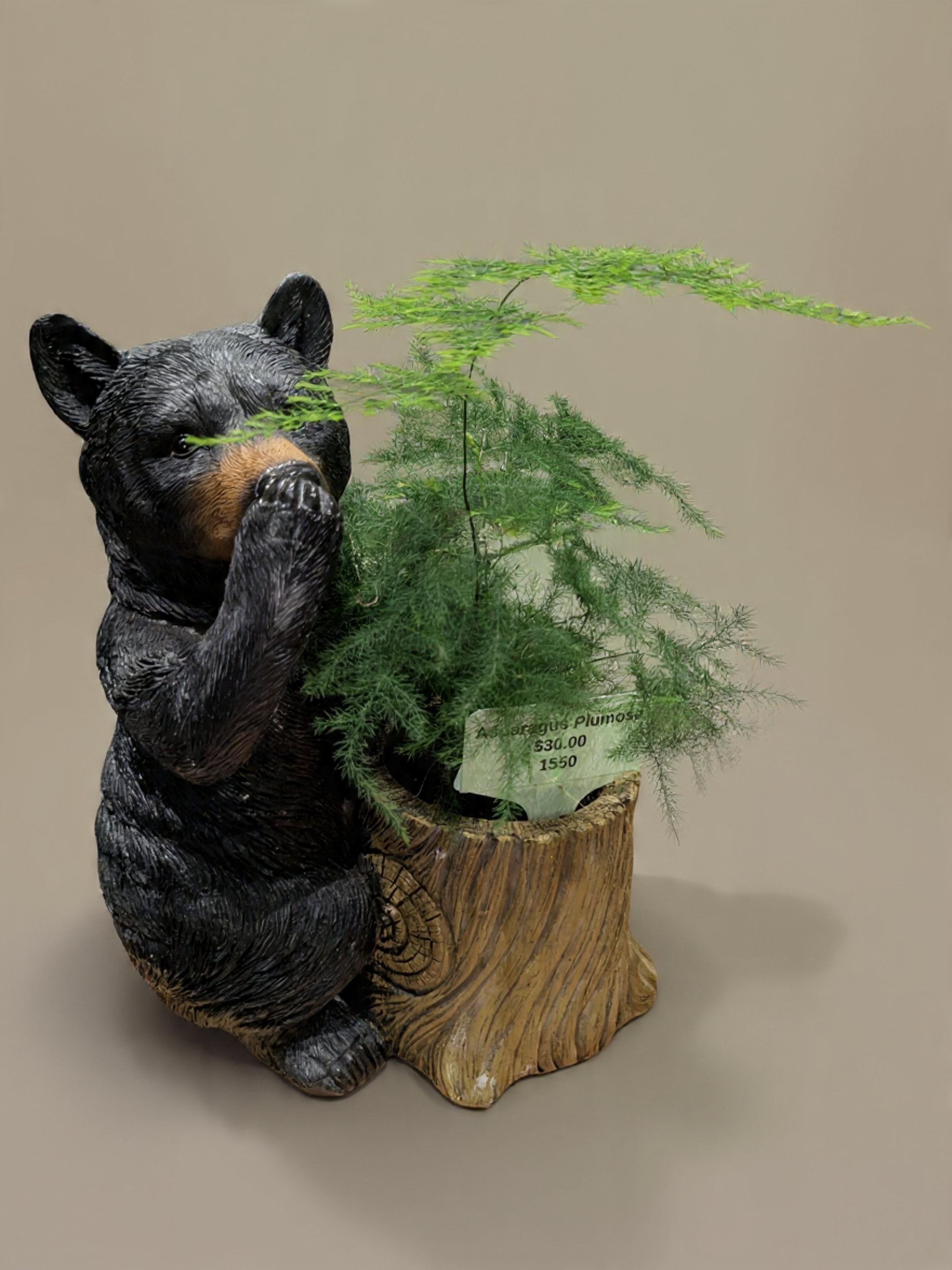 Decorative bear figurine holding a potted fern in a wooden planter.