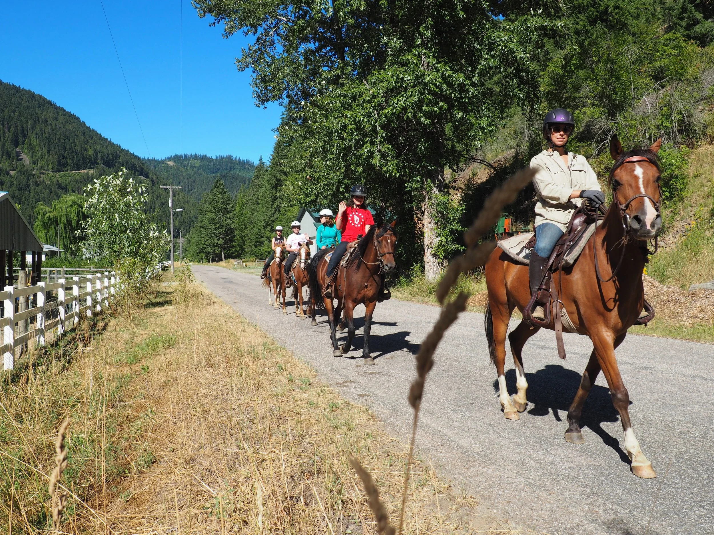 Group of people riding horses along a rural road bordered by trees and mountains under a clear blue sky.