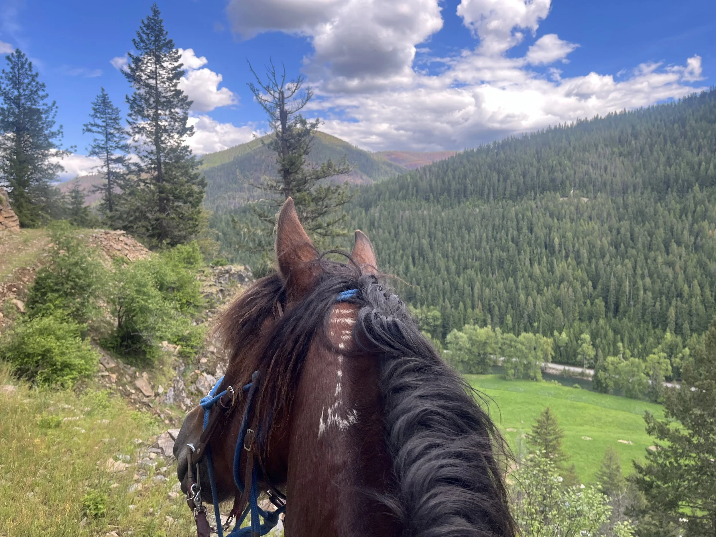Photo taken from the perspective of a rider on a horse, showing the horse's head and mane with a scenic view of a green valley, trees, mountains, and a partly cloudy sky in the background.