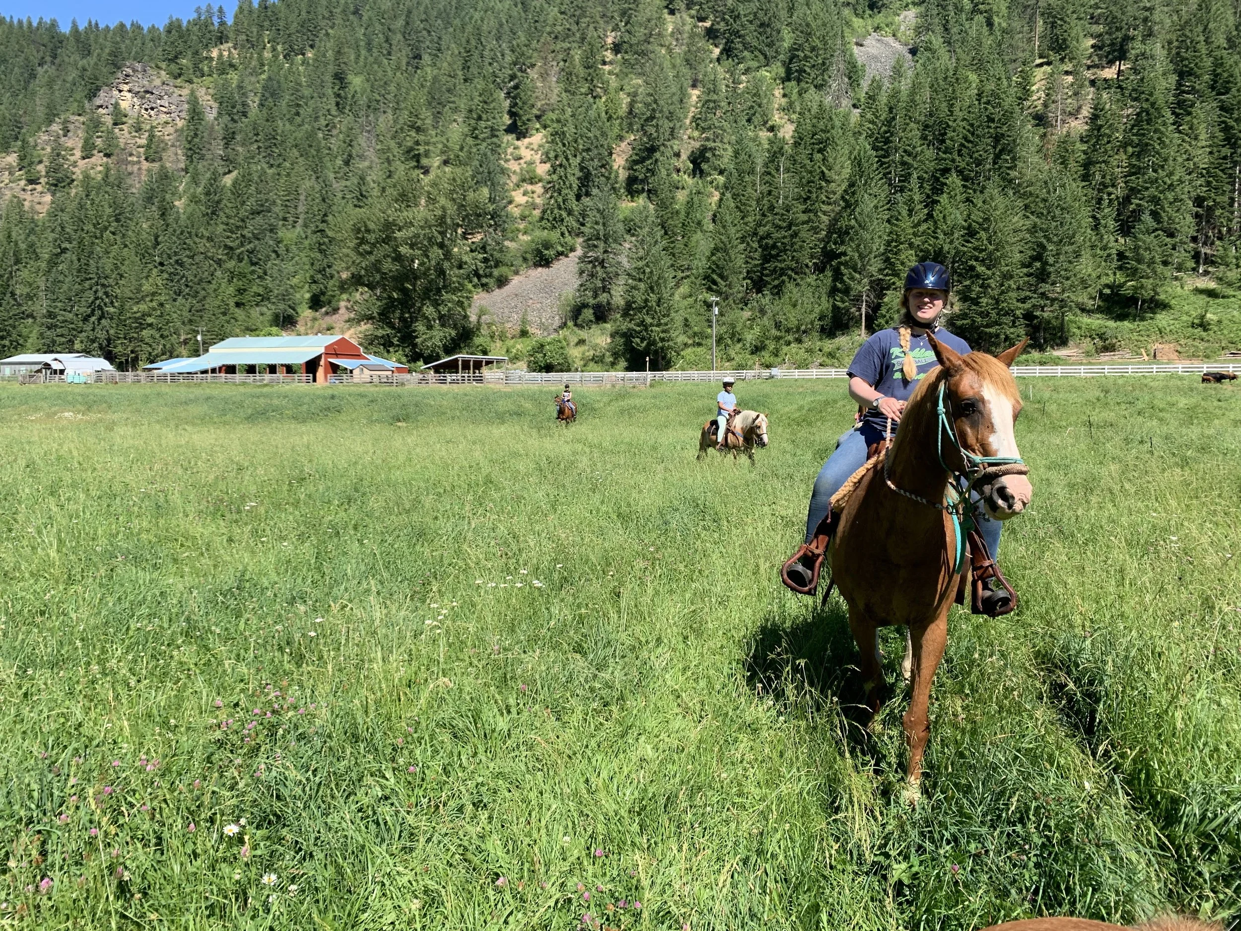 A girl with a helmet riding a brown horse in a grassy field with a backdrop of a forested mountain and farm buildings in the distance.