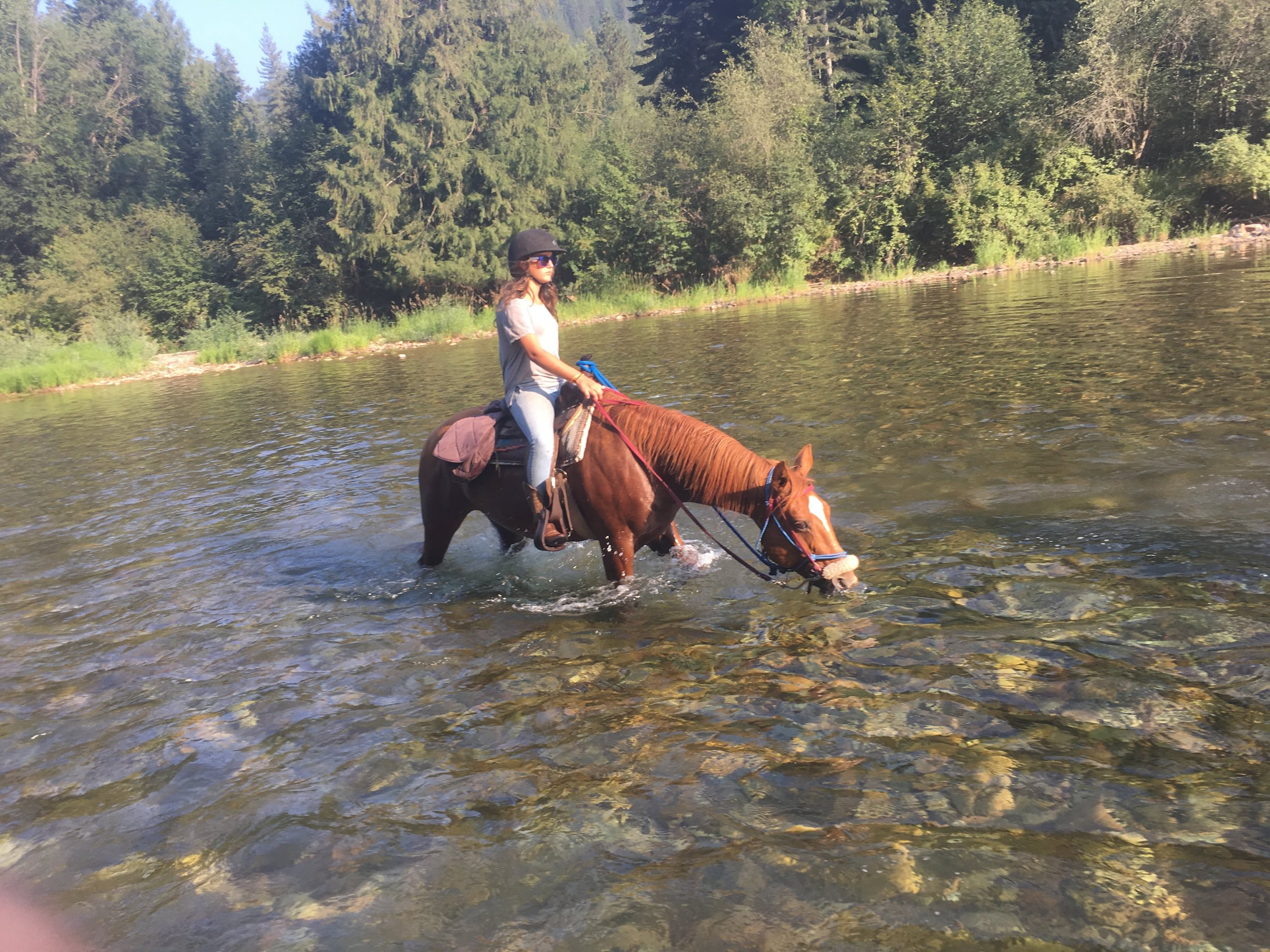 A woman riding a brown horse through a shallow river surrounded by green trees.
