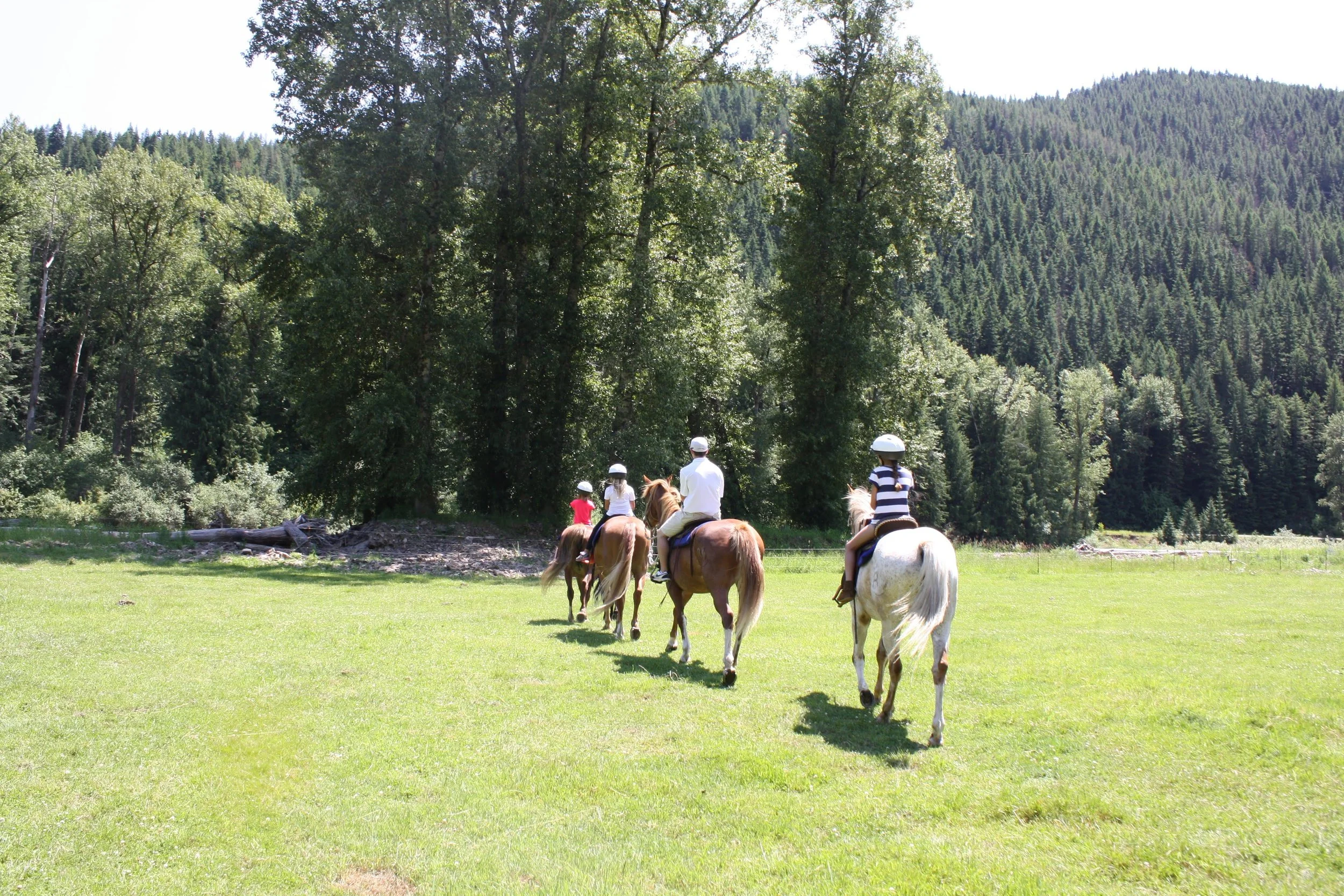 Four people riding horses on a grassy field surrounded by trees and forested hills under a clear sky.