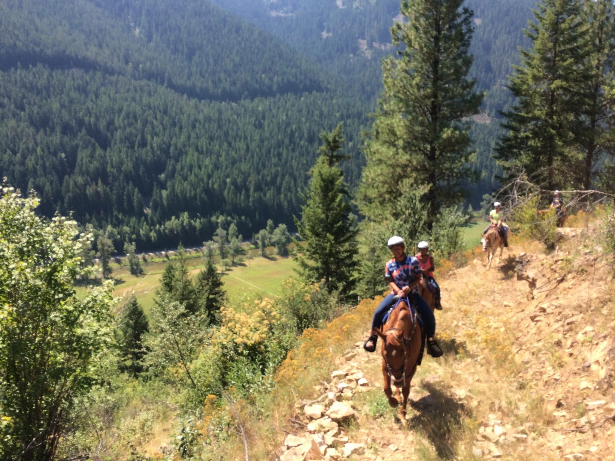 People horseback riding on a dirt trail in a forested mountainous area with evergreen trees and a valley below.