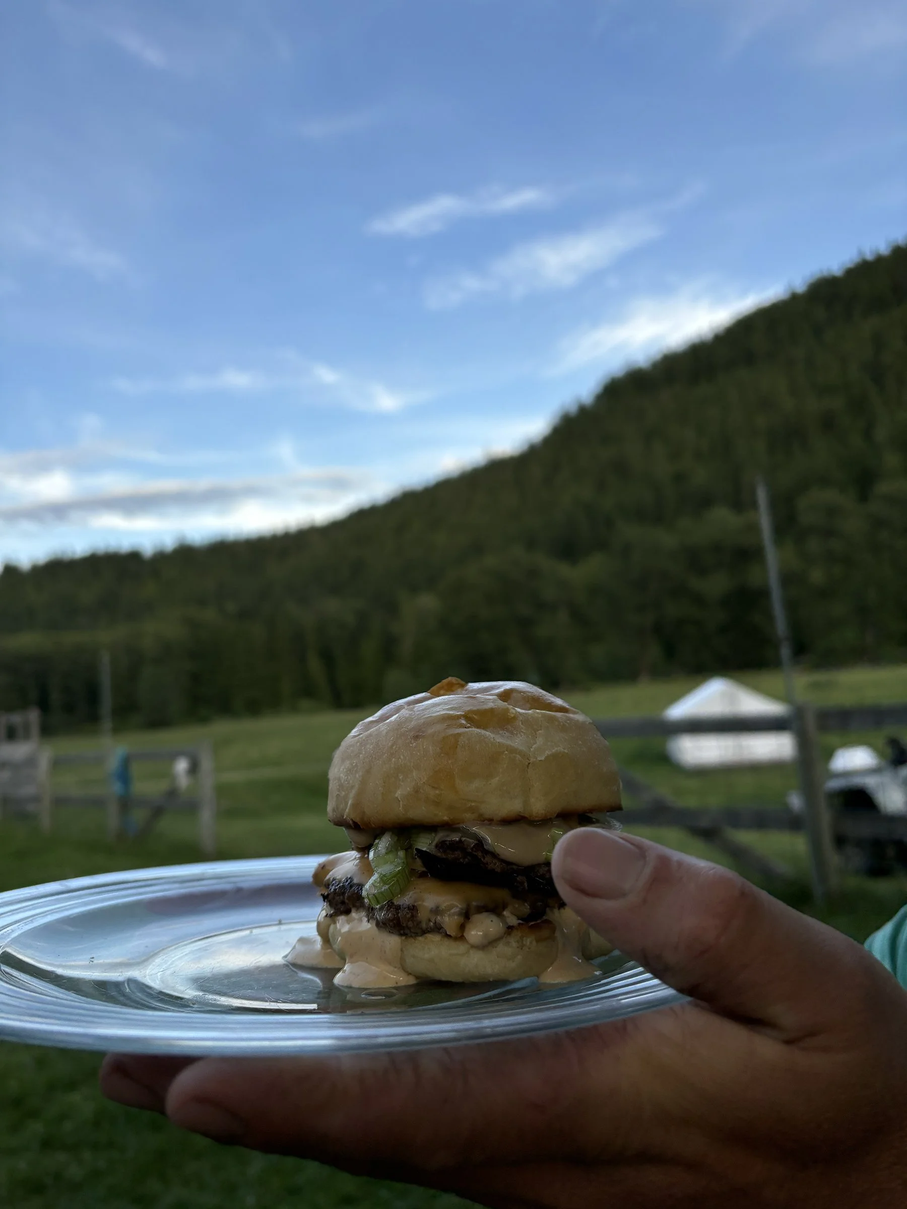 Close-up of a person's hand holding a plate with a hamburger, set outdoors with a grassy field, a white tent, and green hills under a partly cloudy sky in the background.