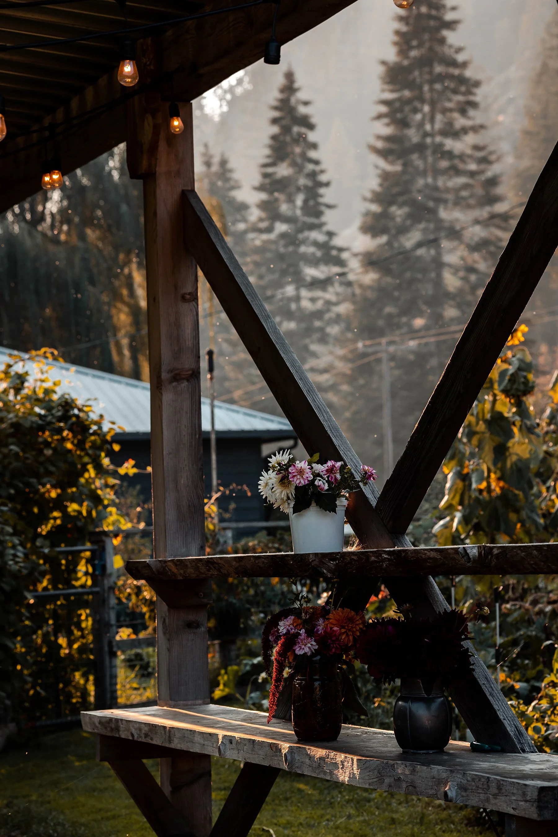 Wooden outdoor shelf with flowers in vases, illuminated by warm outdoor lighting, with tall trees and mountain in the background.