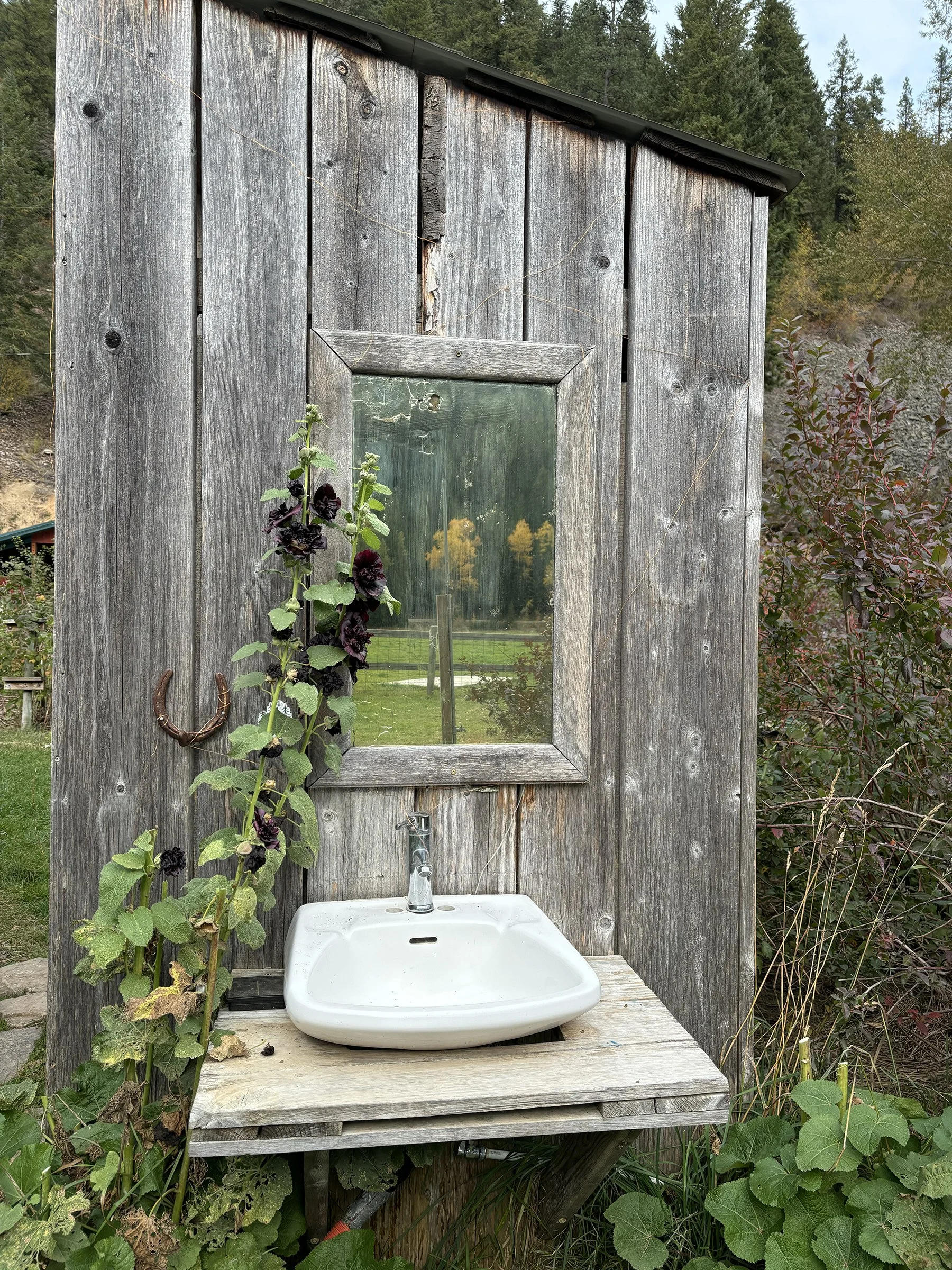 An outdoor rustic wash station with a wooden shed, a mirror, and a small white sink, surrounded by greenery and plants.