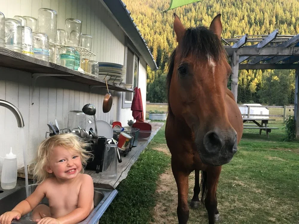 A young girl in a kitchen sink smiling with a horse outside in a rural setting.