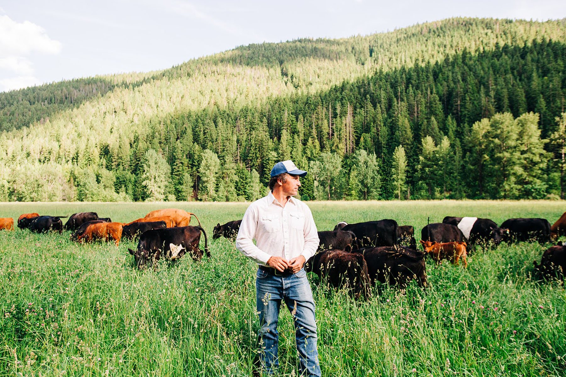 Castle Rock Ranch 11 web IMG_8108.jpg