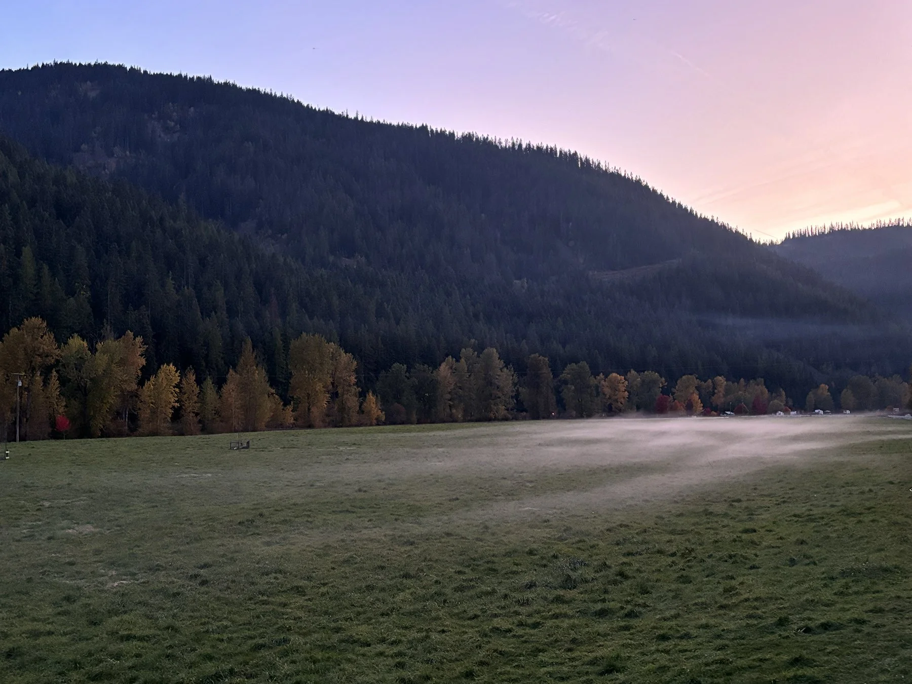 A peaceful landscape with a grassy field, a line of trees with fall colors, and a mountain range in the background during dawn or dusk, with mist hovering over the ground.