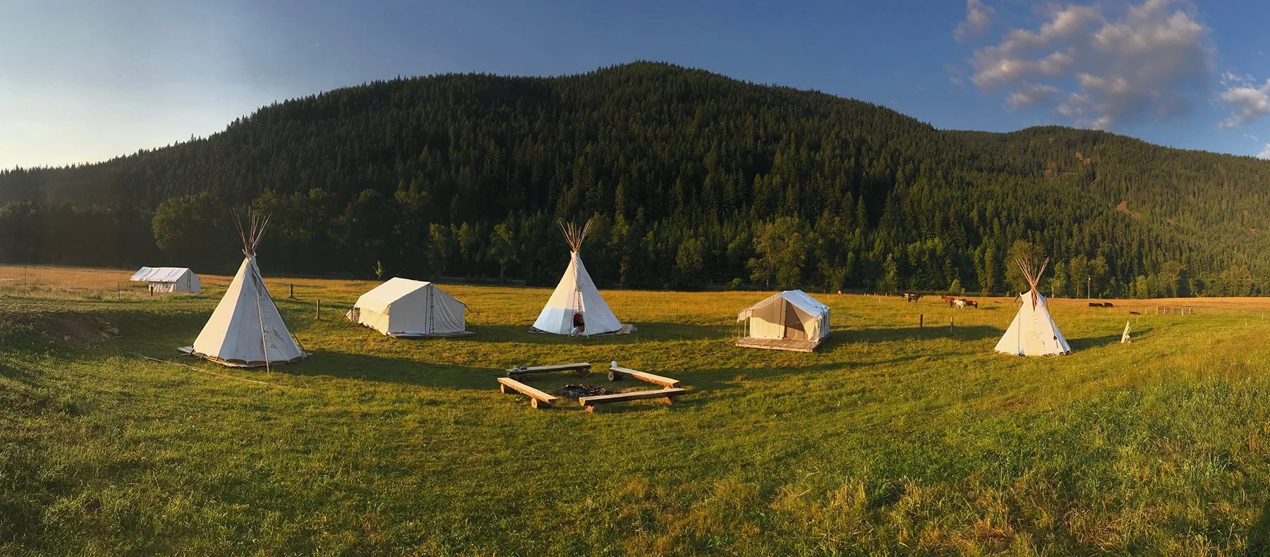 A scenic outdoor camping scene with five white teepees and one beige tent on a grassy field, set against a backdrop of a forested mountain and a clear blue sky.