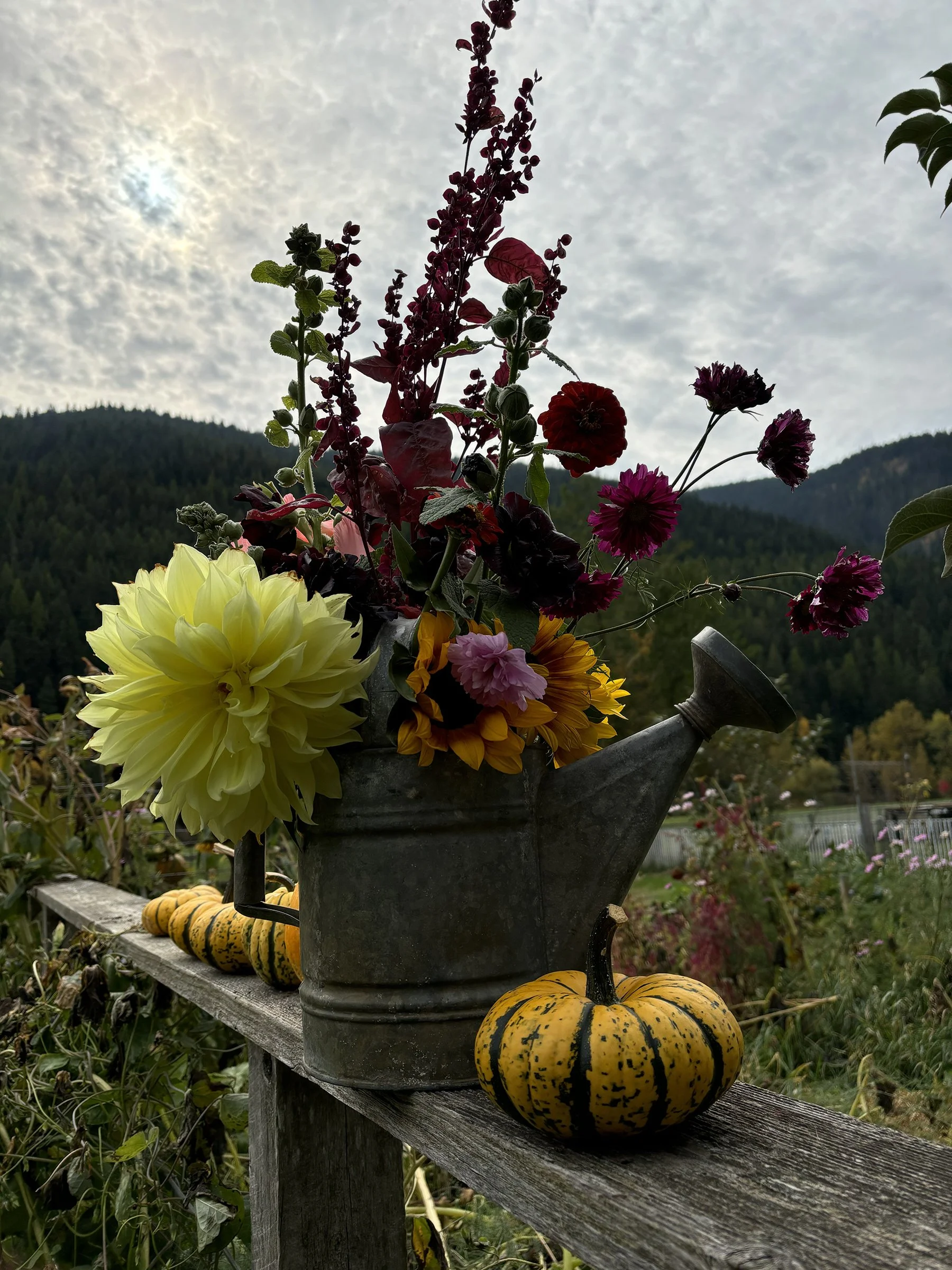 Castel Rock RanchIMG_1170.jpg