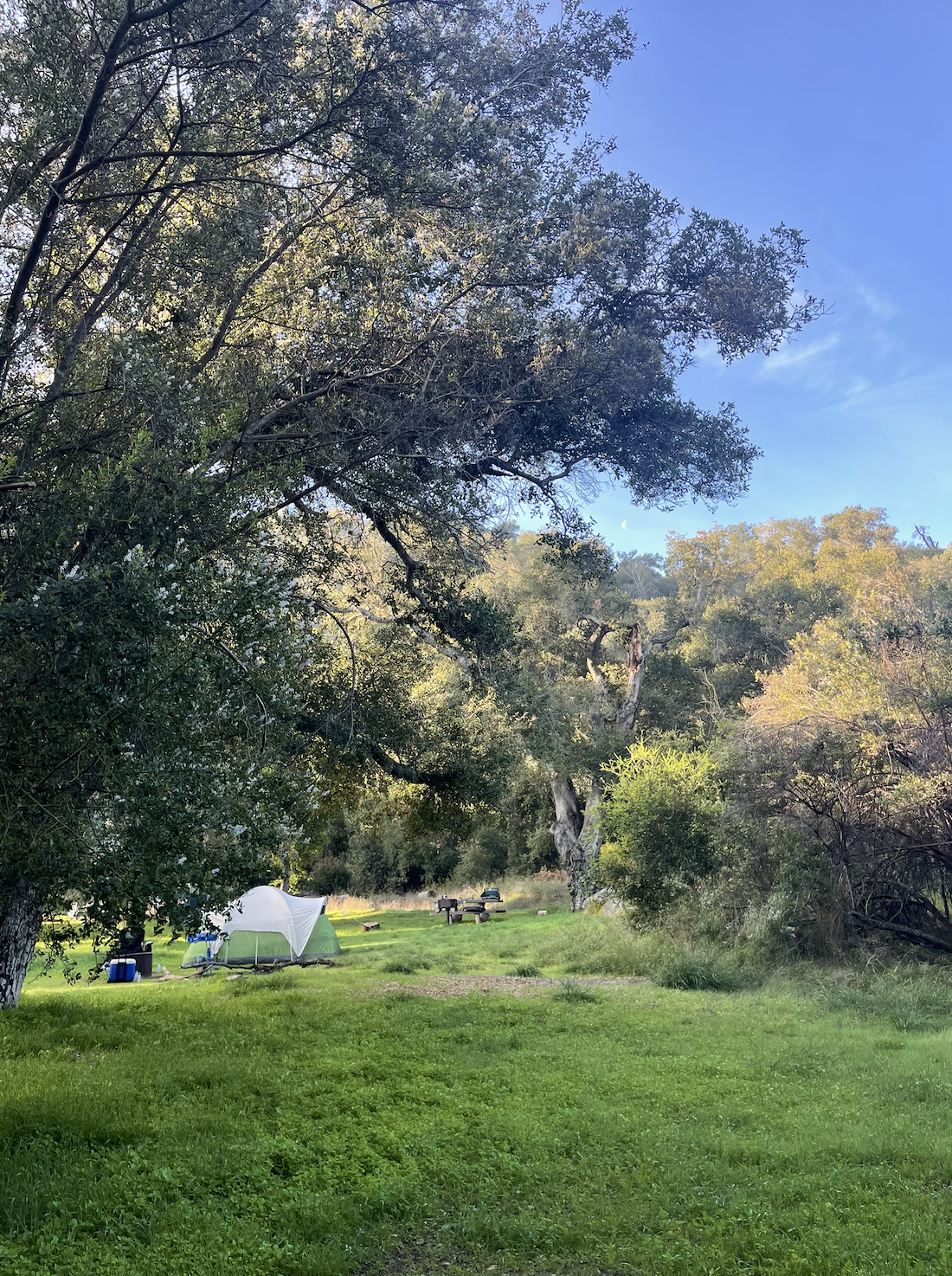 Screenshot 2026-01-30 at 12.44.56 PM.png