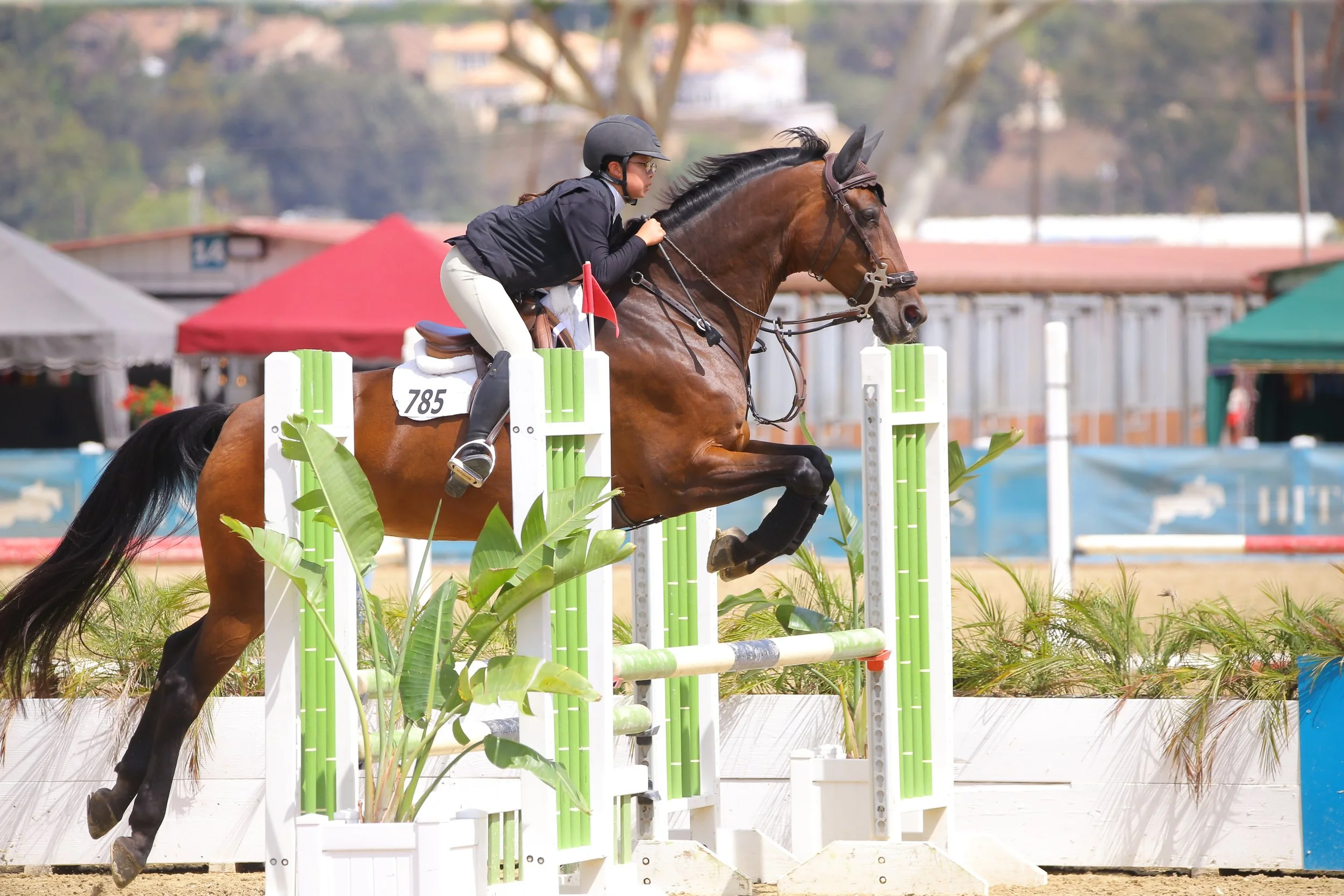 A female equestrian rider wearing a helmet and black jacket guiding a brown horse over a green and white show jumping obstacle. The horse has a black mane and tail, and the background features tents and structures at an outdoor equestrian event.
