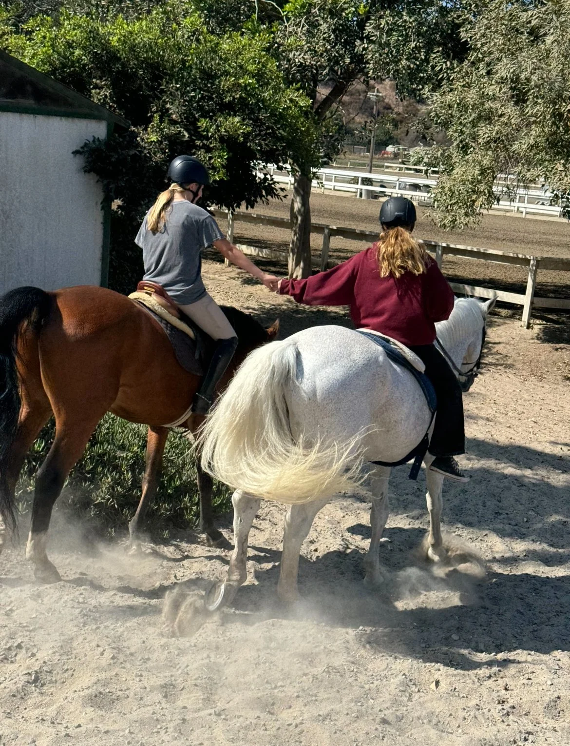 Two girls riding horses and holding hands in a dusty outdoor area, surrounded by trees and a wooden fence.