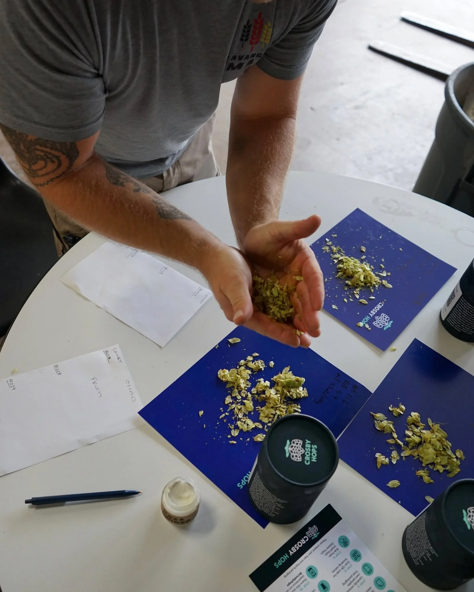 Sniffin' hops &amp; takin' names 👃

Over the past few weeks we've been selecting Lots for our contracted hops, and we can't wait to start brewing with them! Shout out to @crosbyhops for hooking us up with these freshies all the way from Oregon 😎🌱?