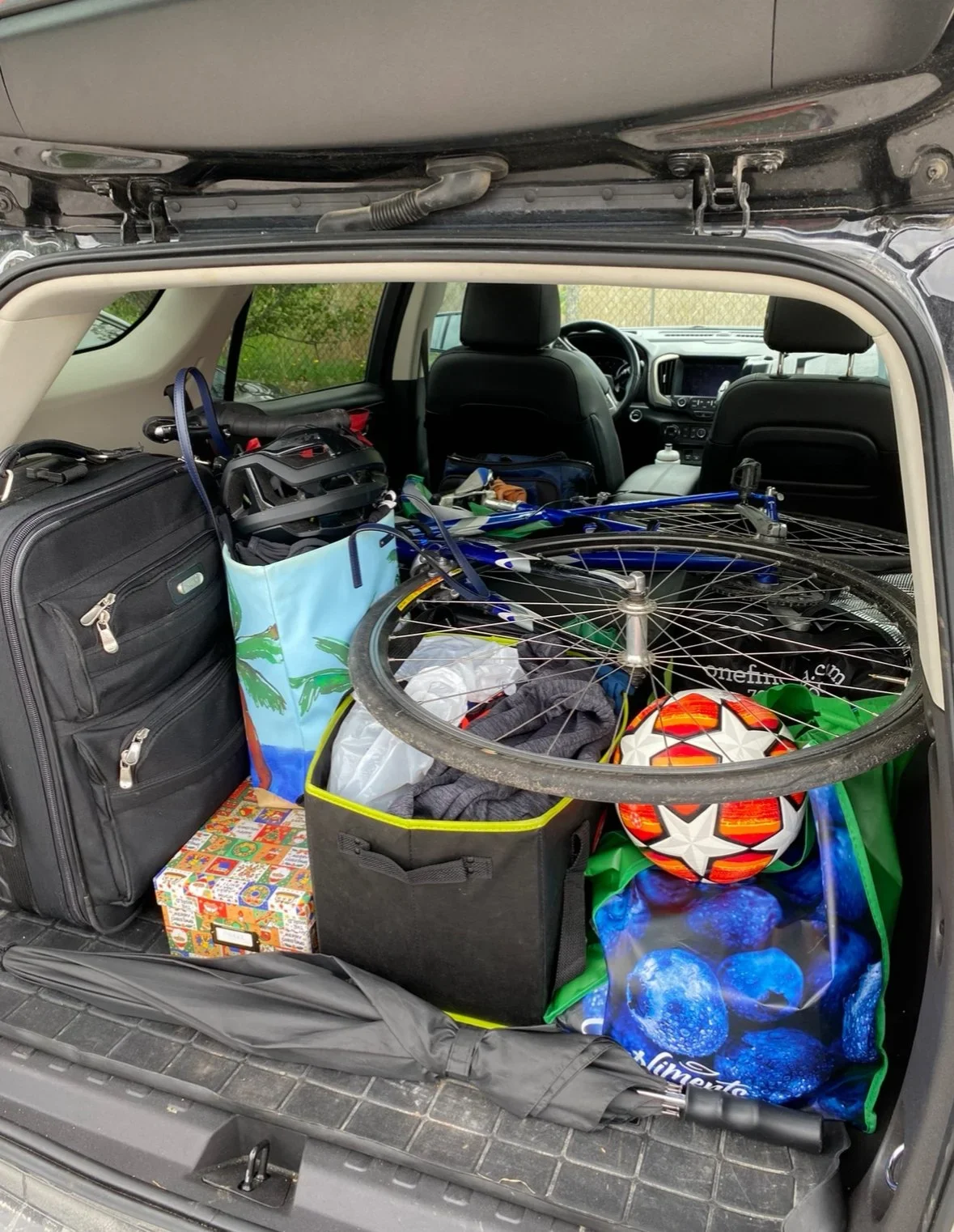 The Fall That Taught Me to Fly