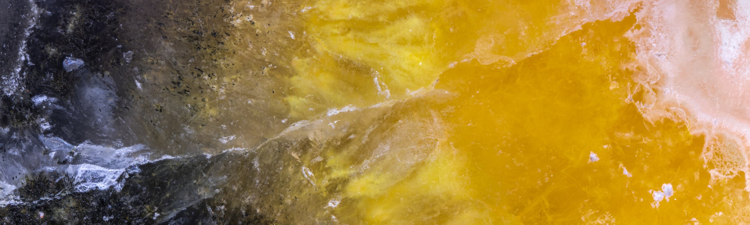 Bumblebee Jasper - 002