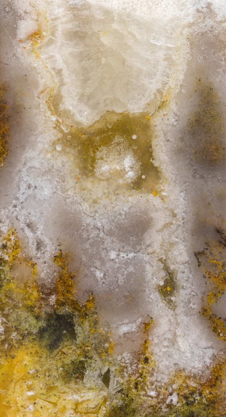 Bumblebee Jasper - 003