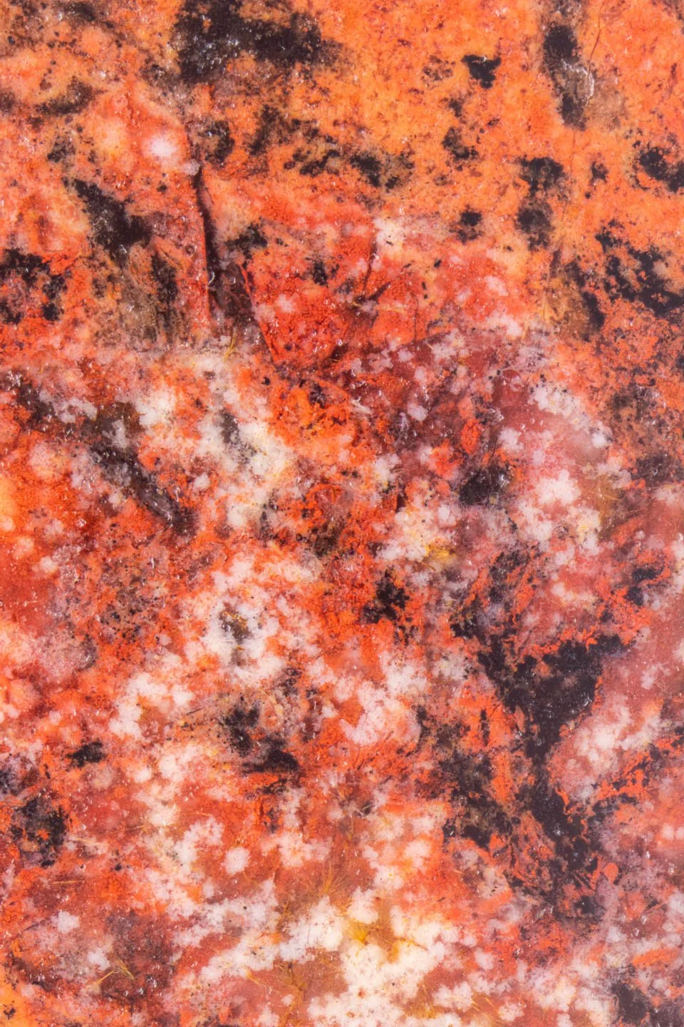 Rainbow_Jasper - 001