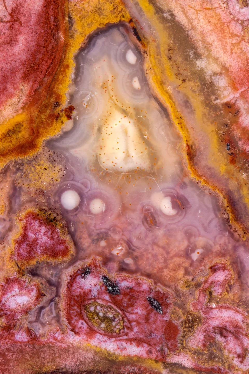 Palm Root Agate - 004