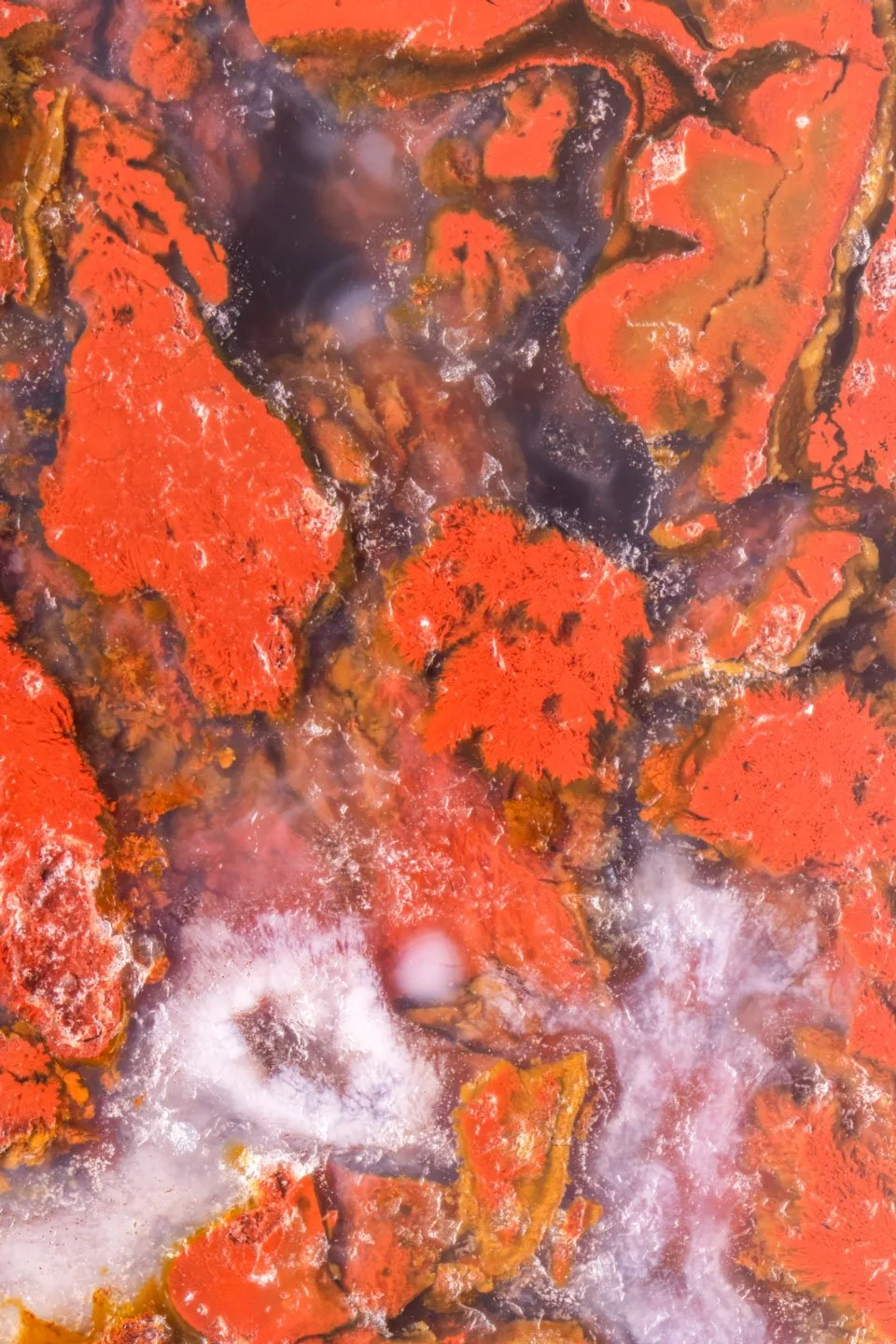 Red Moss Agate - 002