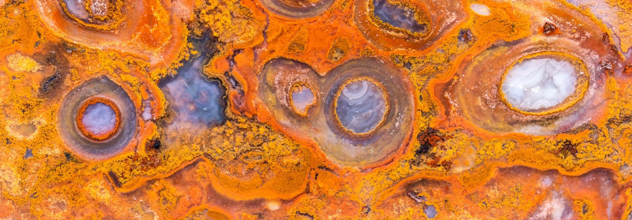 Palm Root Agate - 001