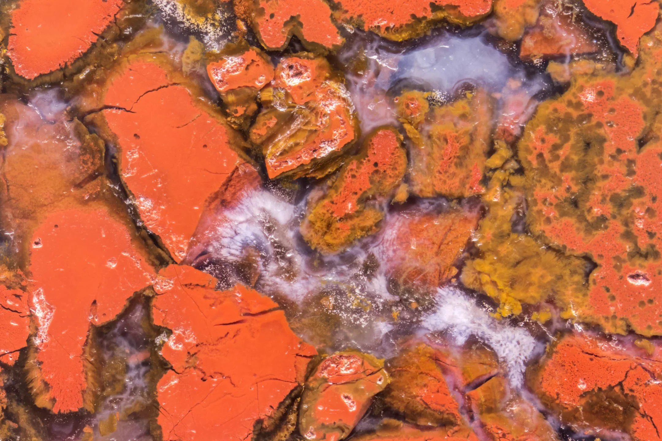 Red Moss Agate - 001