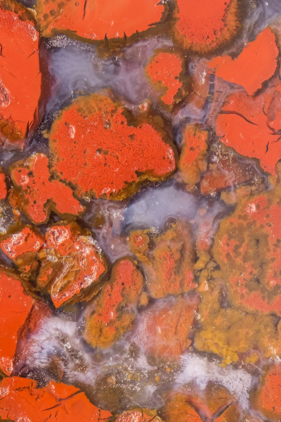 Red Moss Agate - 003