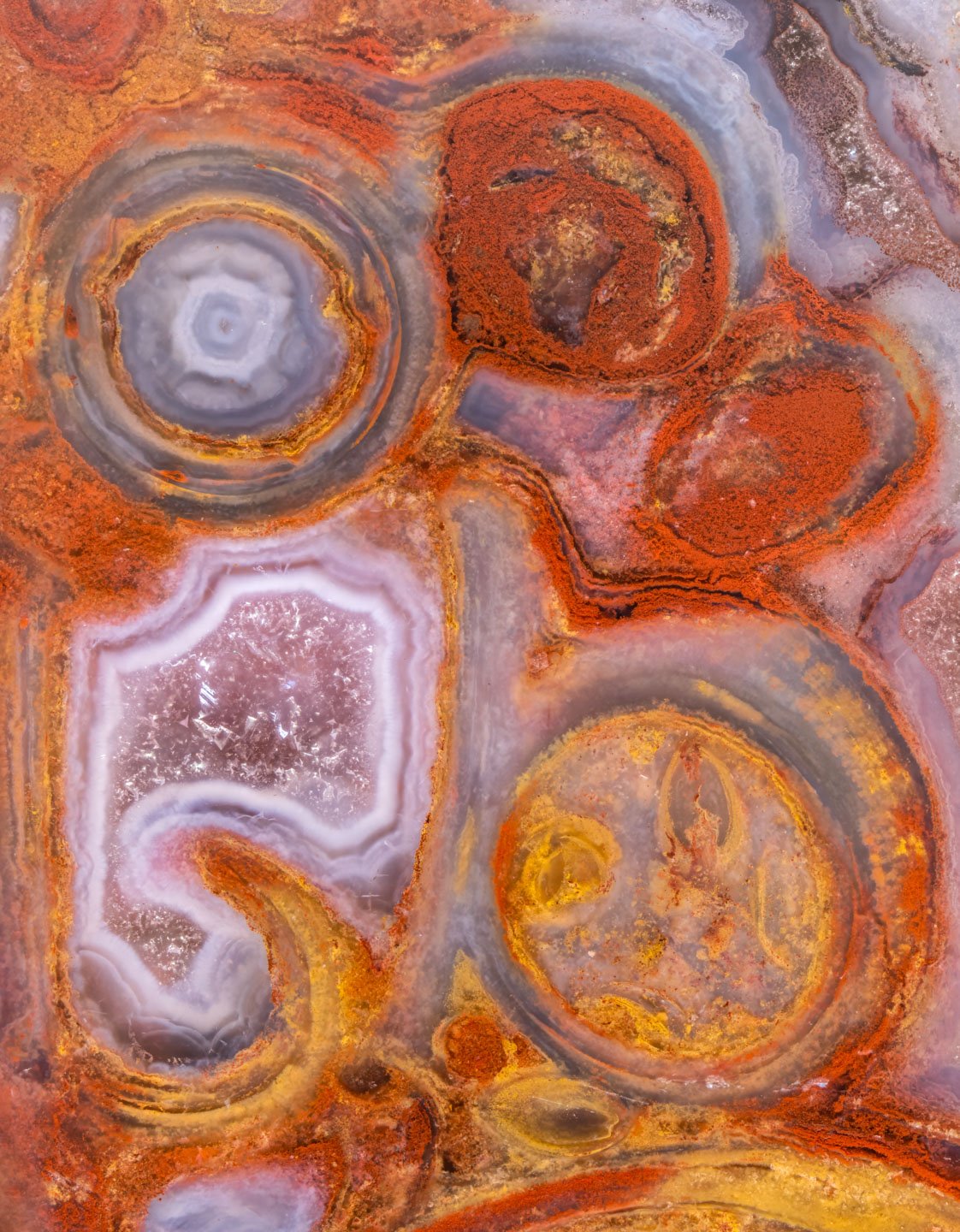 Palm Root Agate - 006