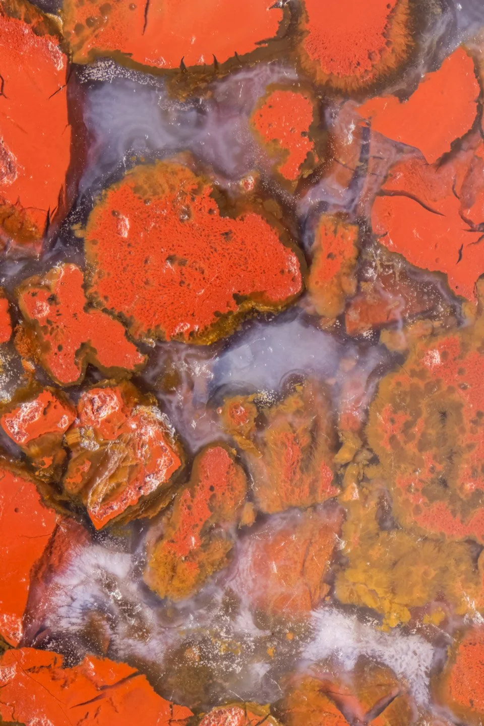 Red Moss Agate - 003