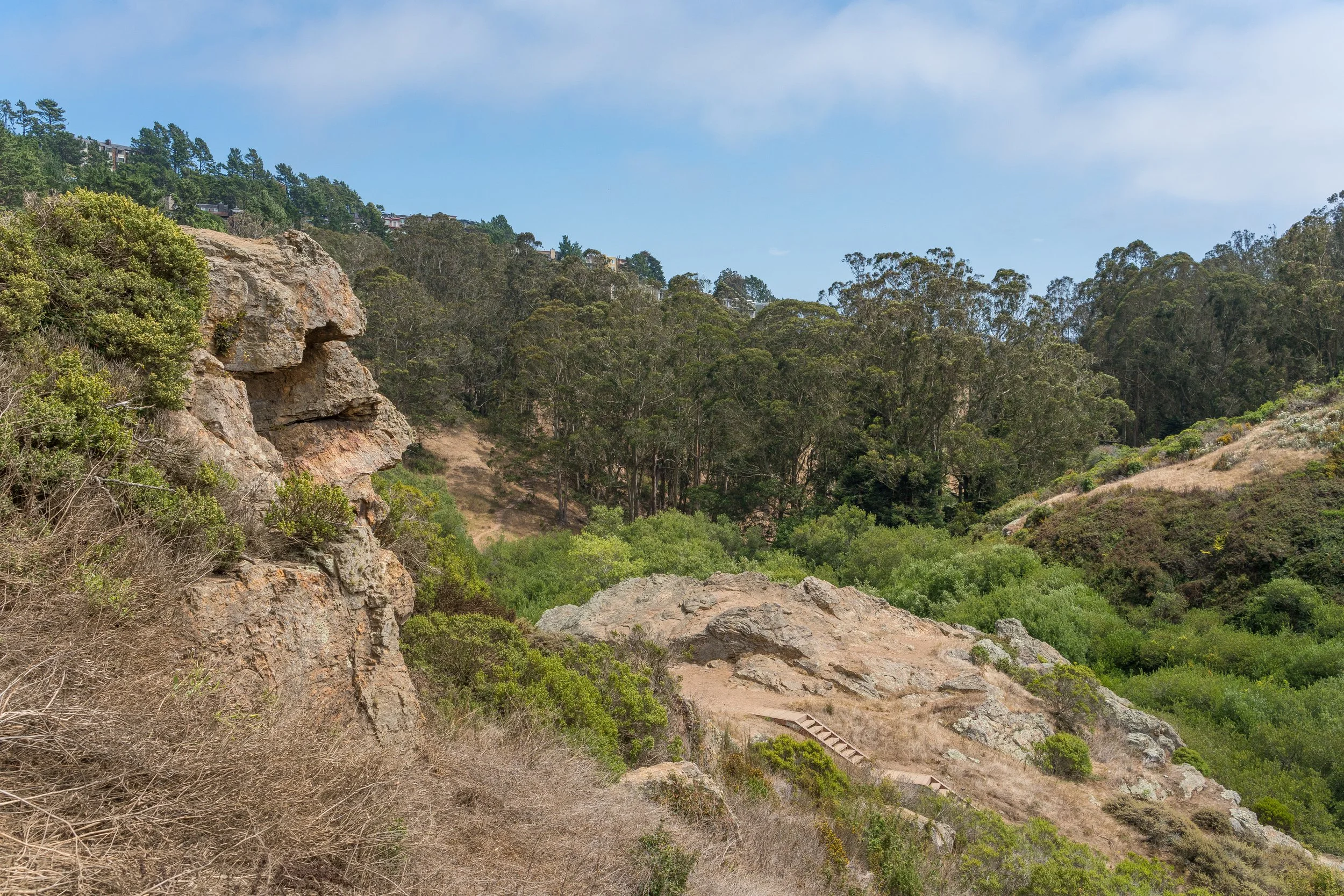 Hiking trail on hillside with rocky terrain, surrounded by green bushes and trees, under a partly cloudy sky.