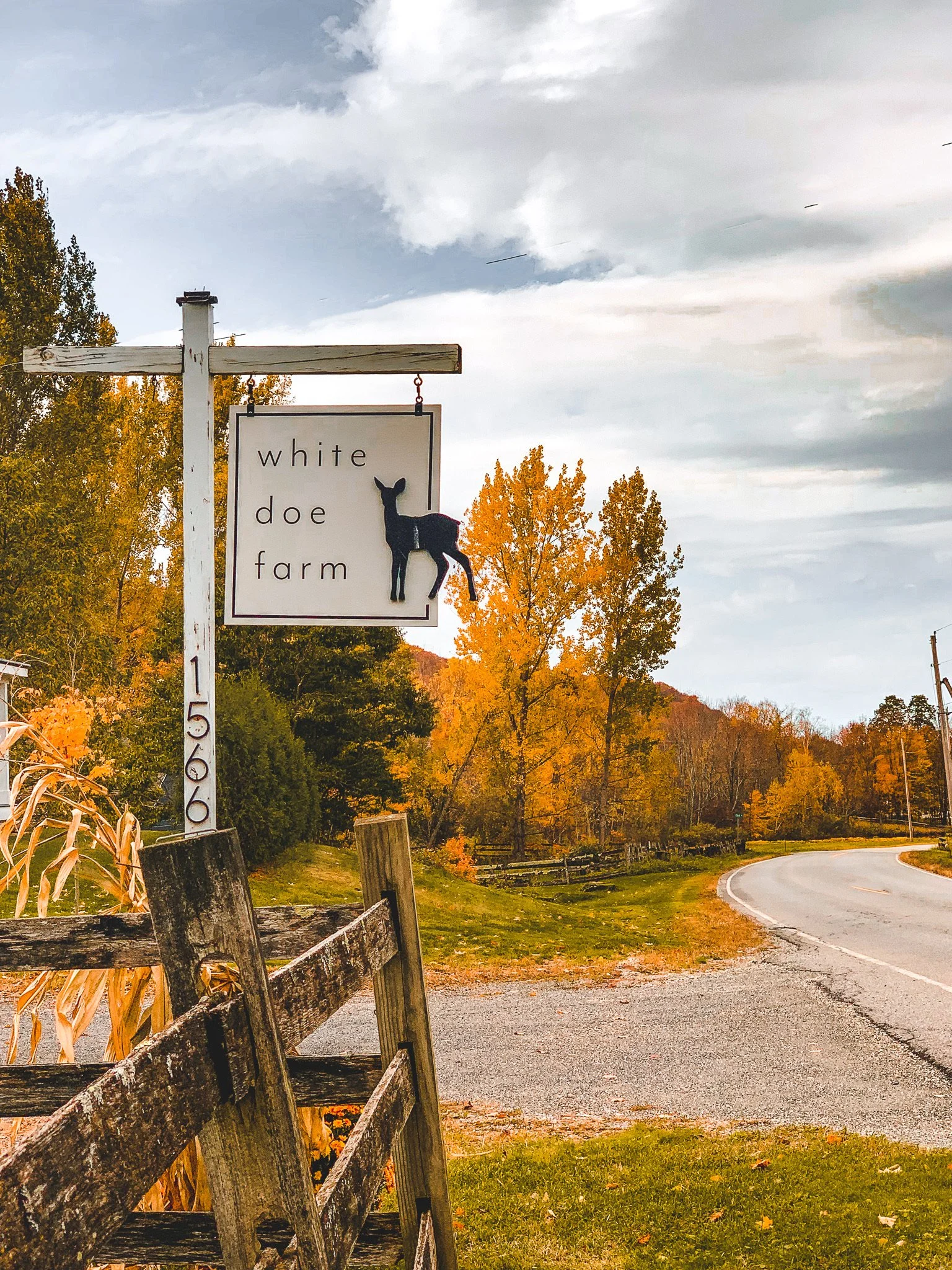 Sign for White Doe Farm with a black deer silhouette hanging on a wooden post, surrounded by autumn trees and a winding road.