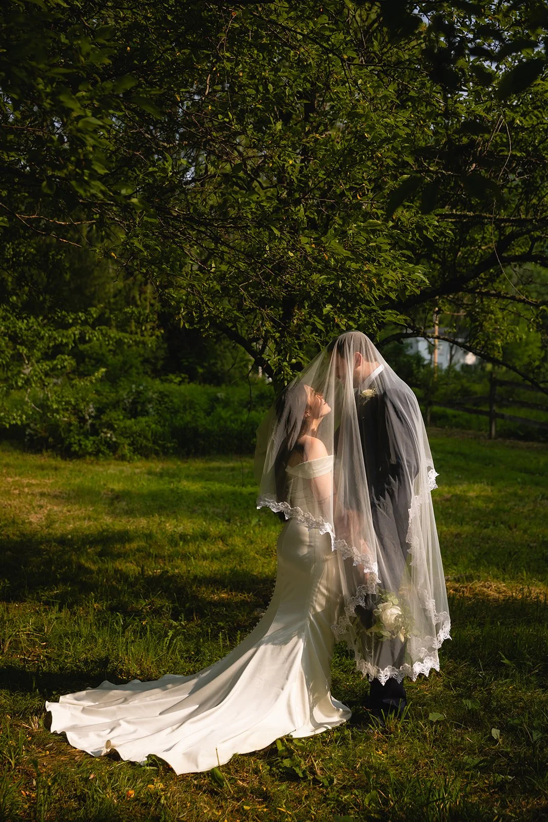 A bride and groom standing close together outdoors under a tree with sunlight filtering through the leaves, sharing a moment under a lace veil. The bride is wearing a satin wedding gown with a train, and the groom is dressed in a dark suit, holding a bouquet of white roses.