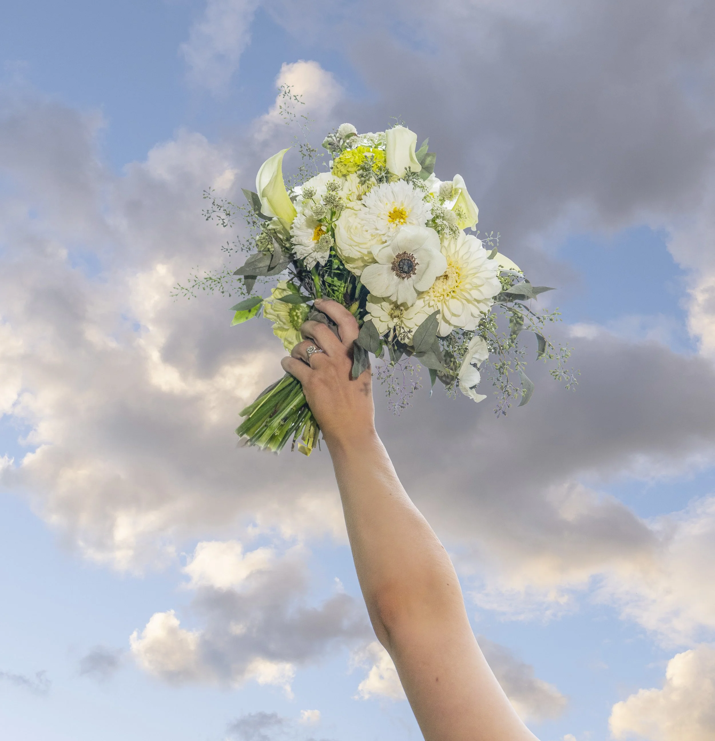 A hand holding up a bouquet of white flowers against a cloudy sky background.