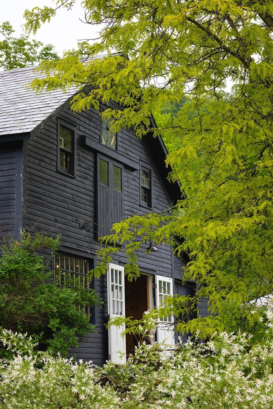 A black wooden house surrounded by green trees and white flowering bushes, with an open white door.