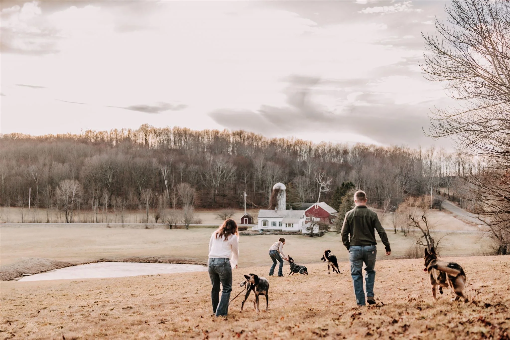 People walking dogs and playing outdoors on a grassy field with a pond, trees, and farm buildings in the background.