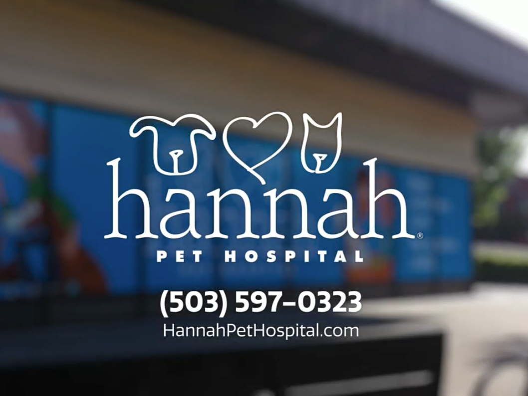 Hannah Pet Hospital