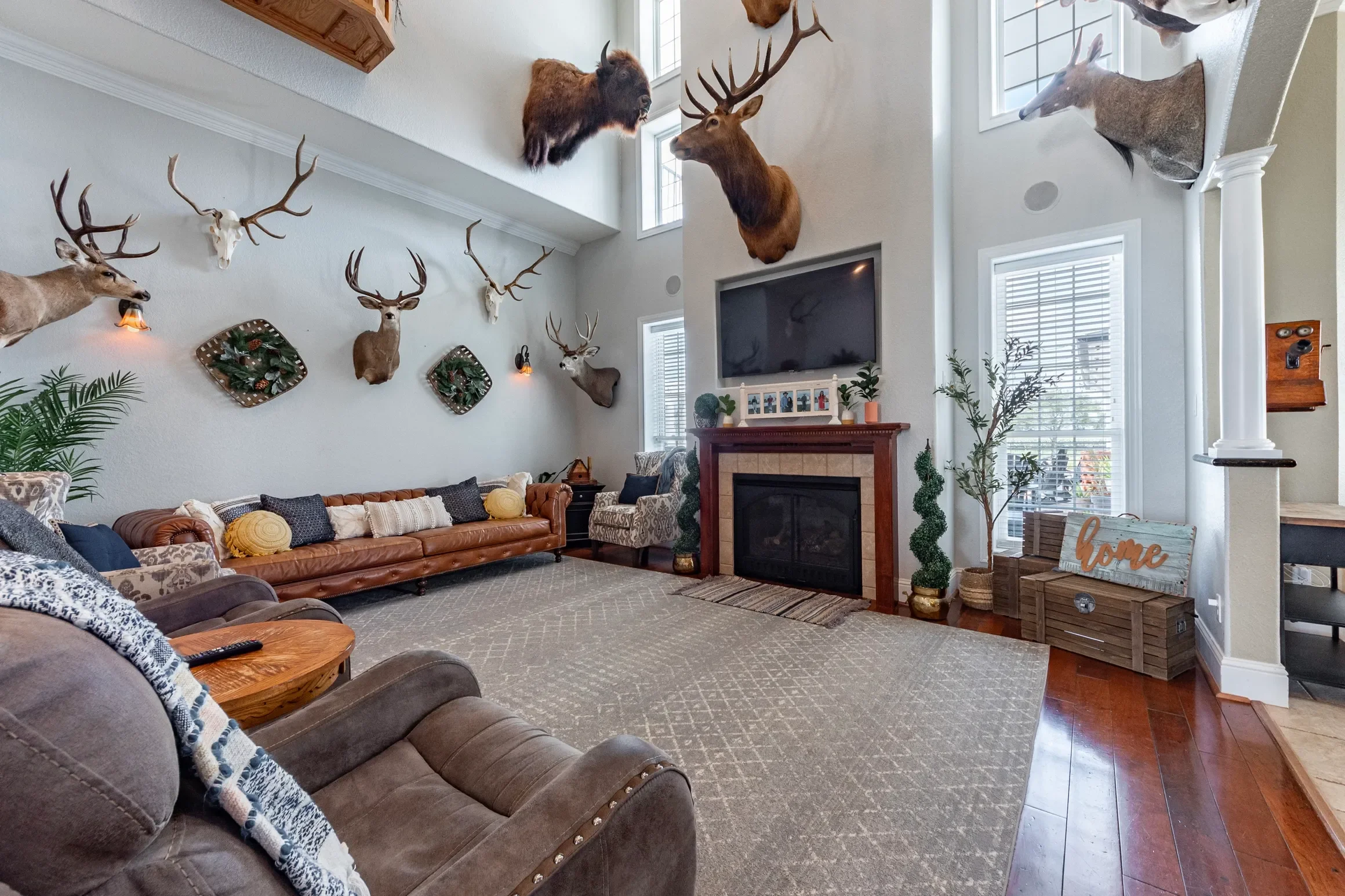 rs=w_2320,h_1546 (3).webp