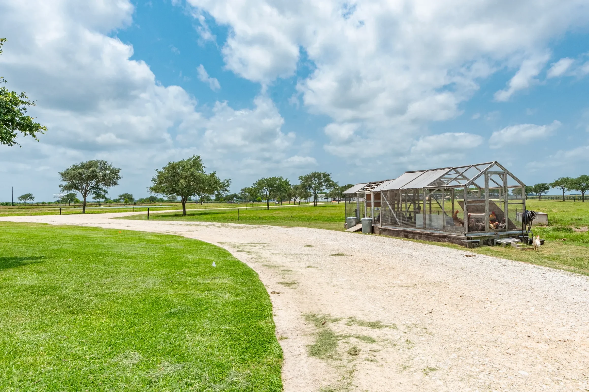 rs=w_2320,h_1546 (24).webp