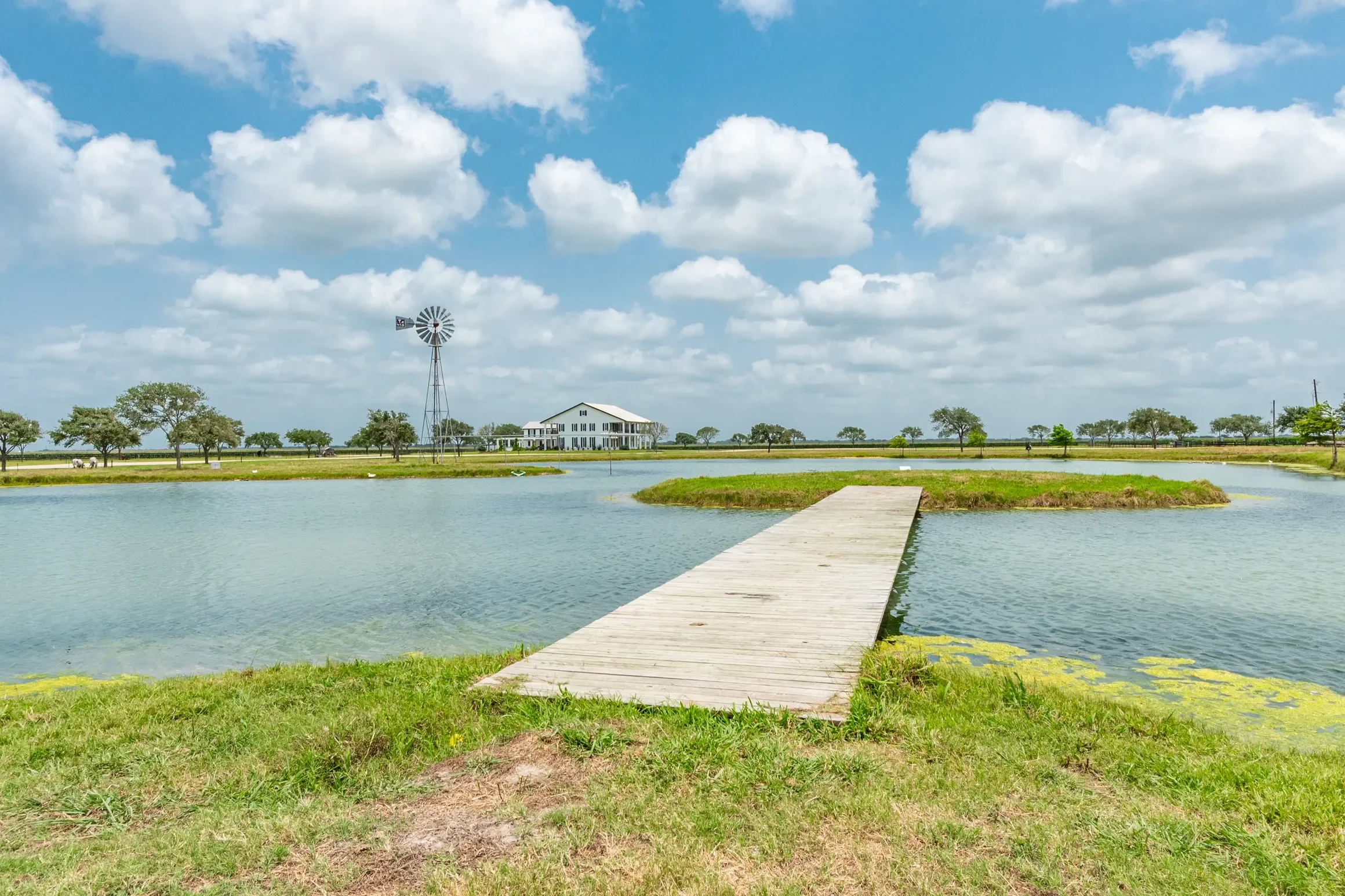 rs=w_2320,h_1546 (22).webp