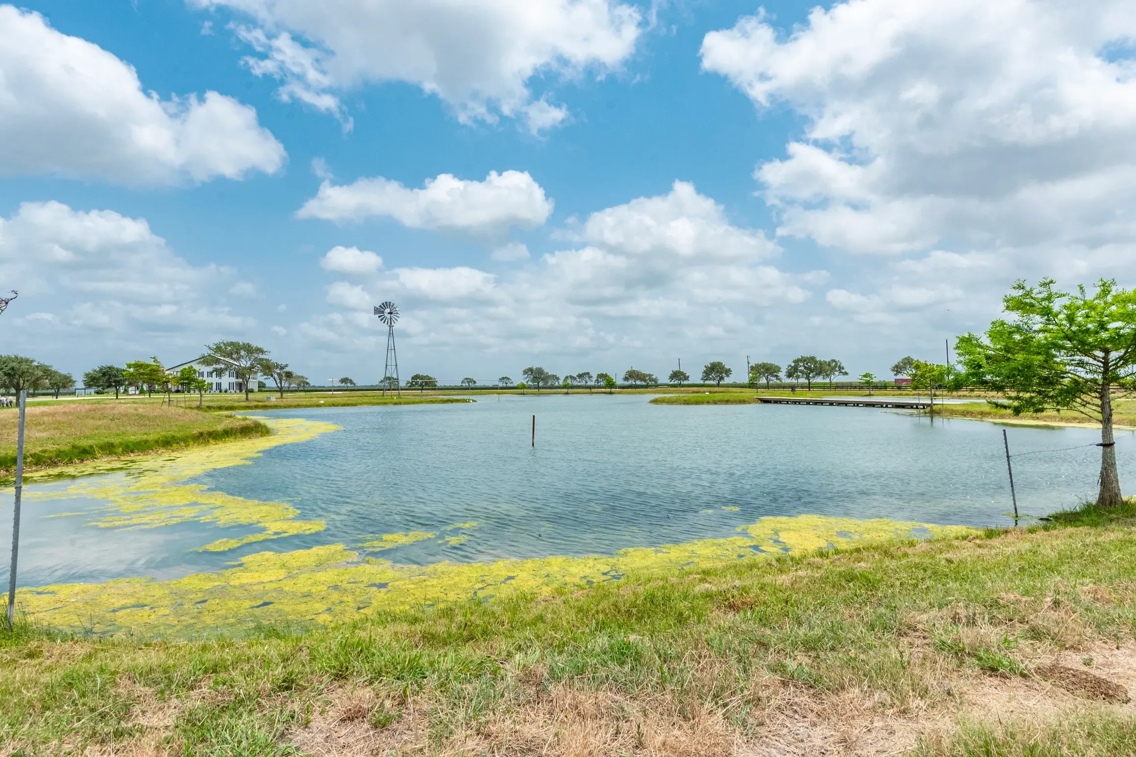 rs=w_2320,h_1546 (23).webp