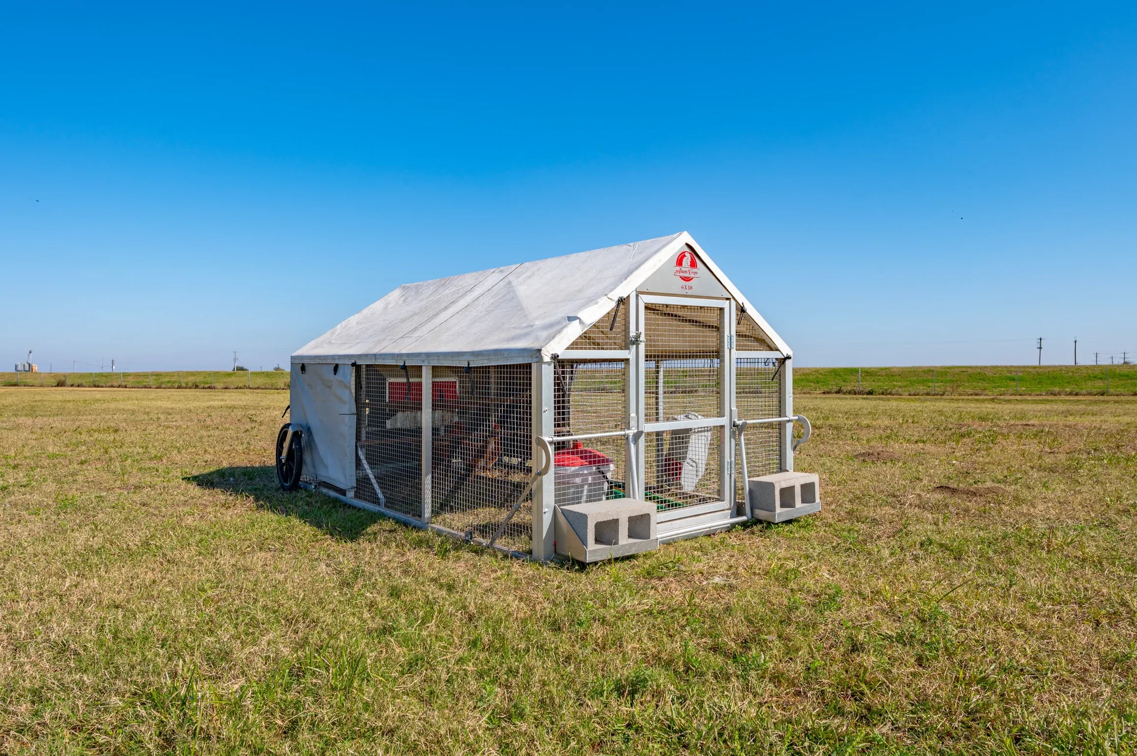 rs=w_2320,h_1543 (18).webp