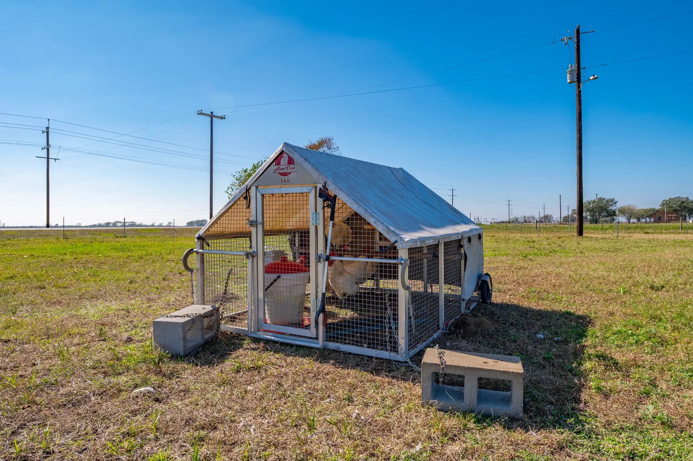 rs=w_2320,h_1543 (20).webp