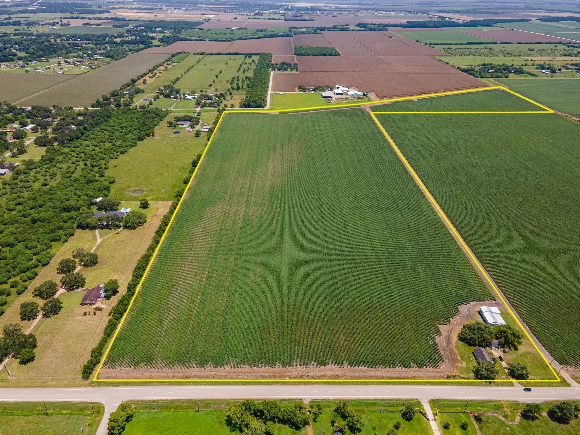 Richmond Cotton Farm