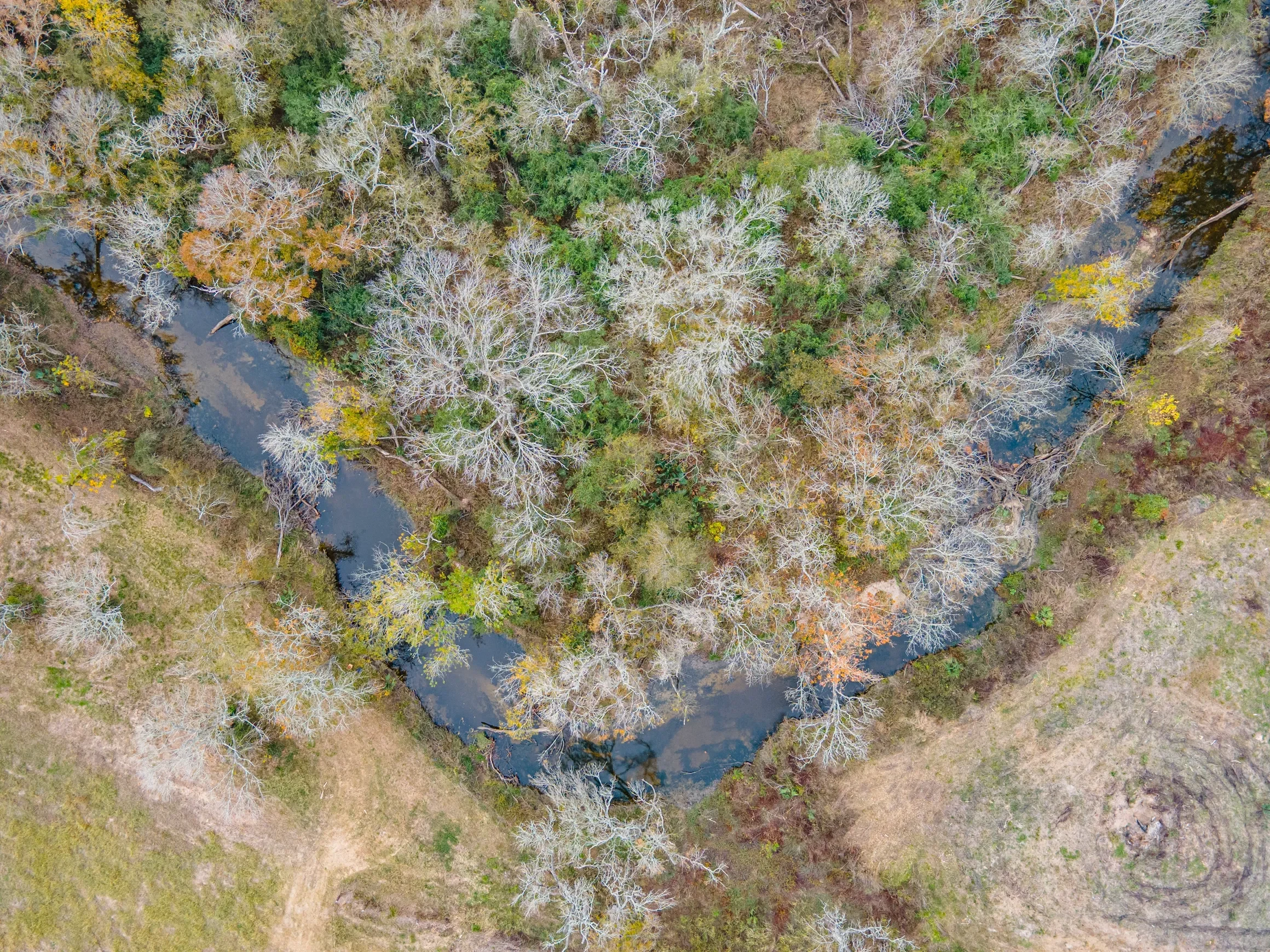 rs=w_2320,h_1740 (15).webp