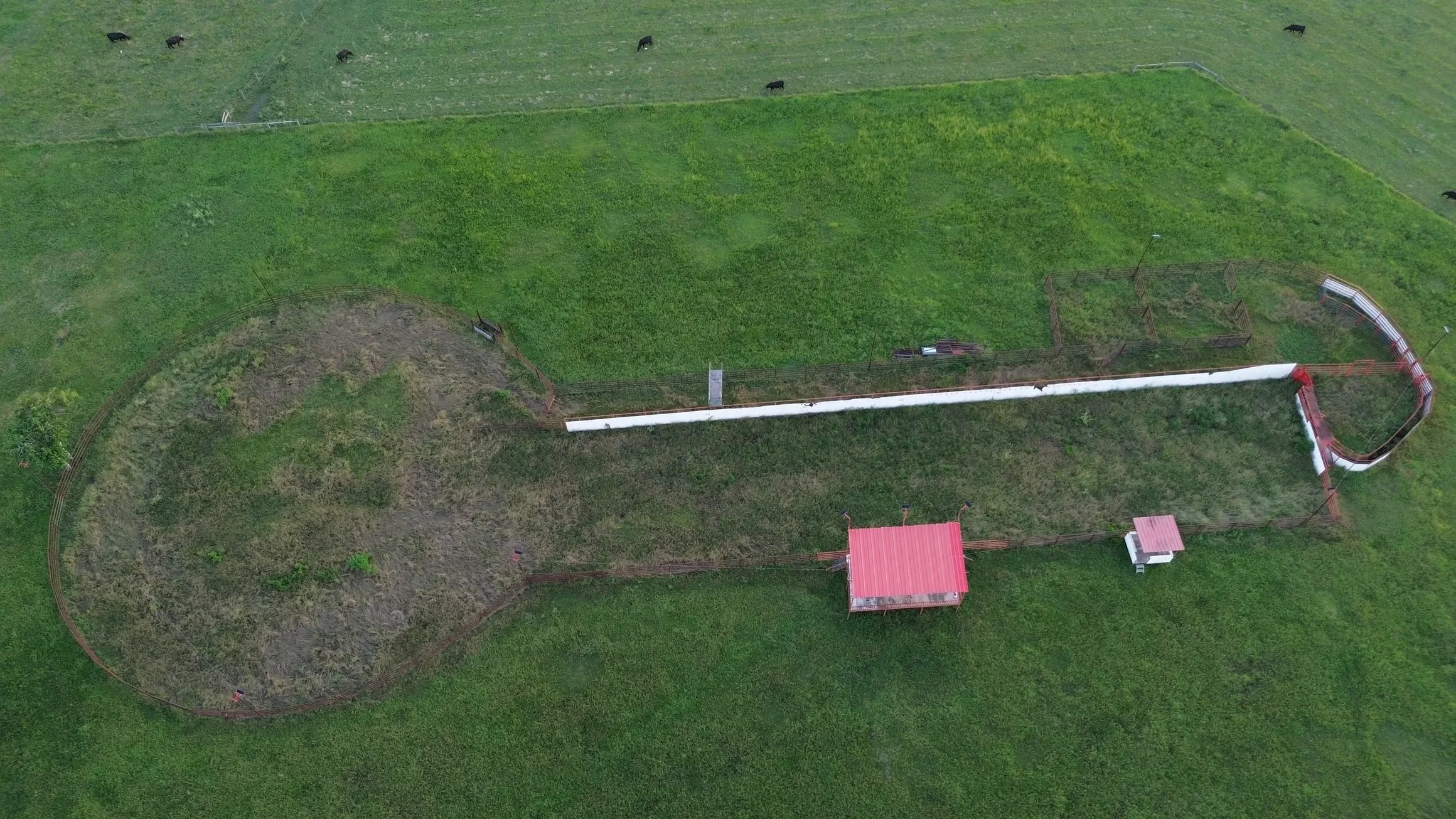 rs=w_2320,h_1305 (5).webp