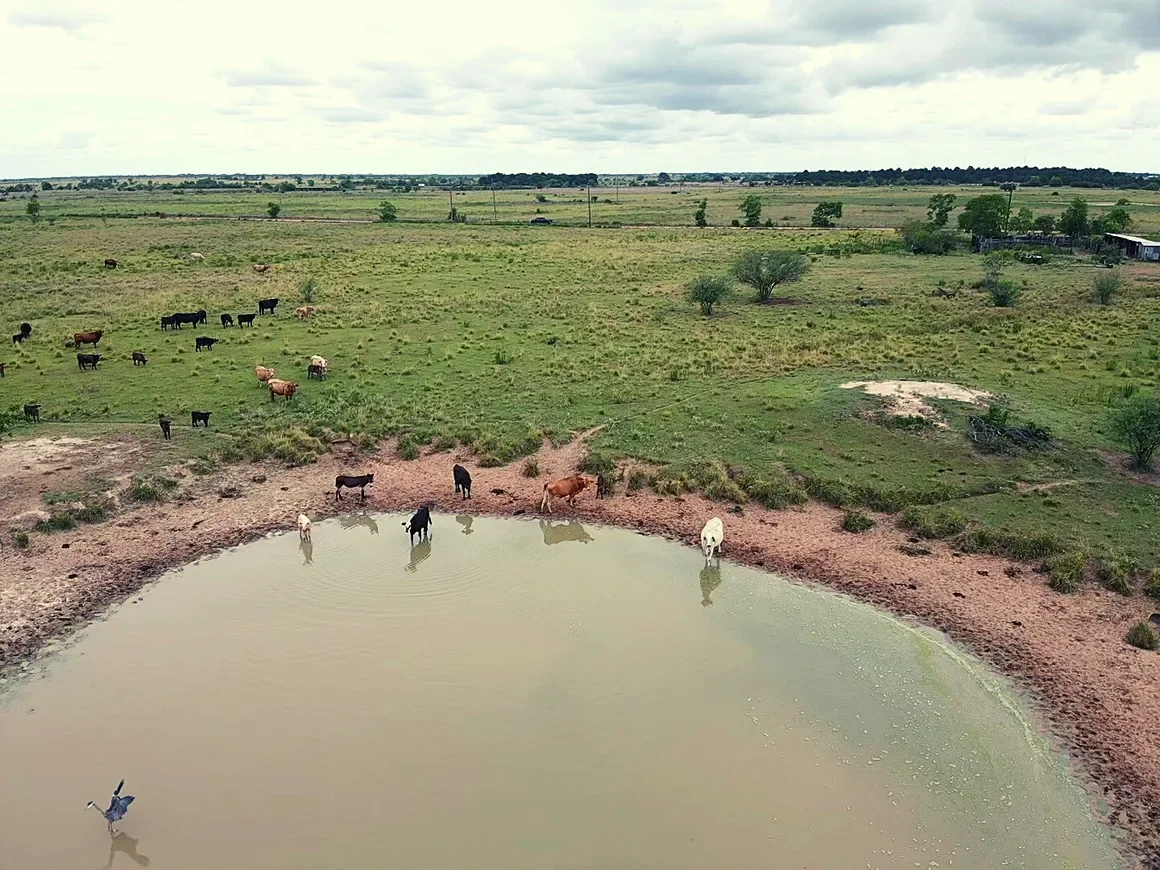 rs=w_1160,h_870 (6).webp